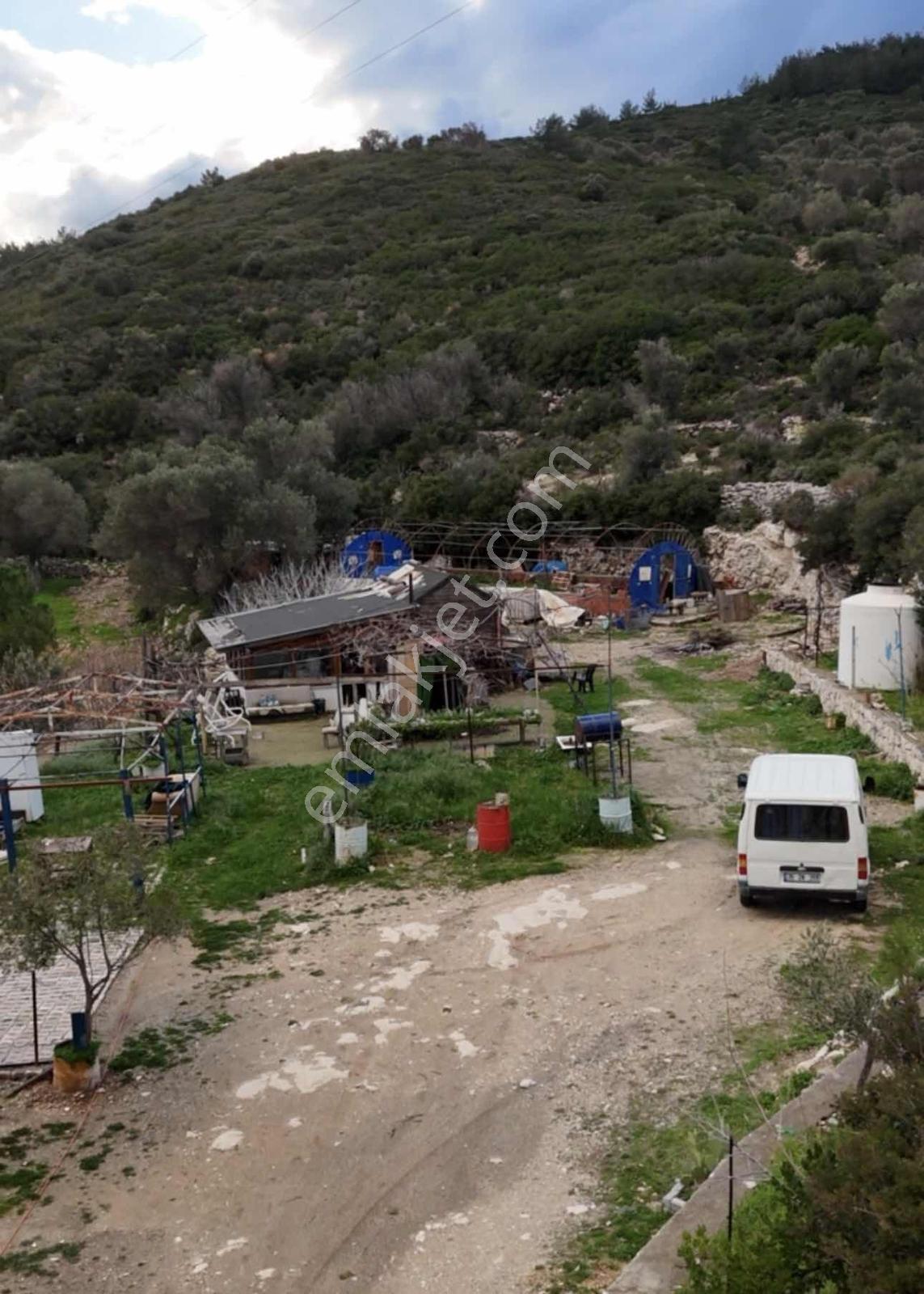 Doğa Dostu'ndan Karaburun Full Deniz Manz.kiralık 5960 M2 - Görsel 15