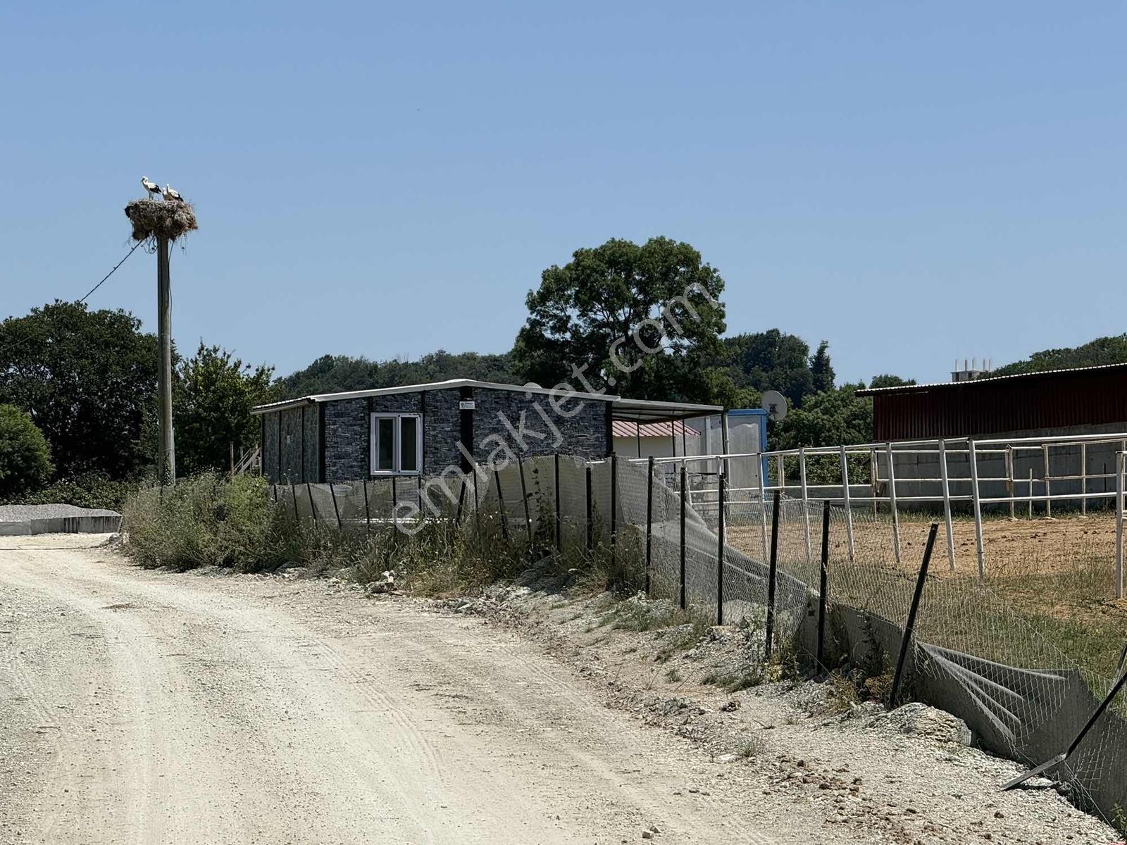 Trendarsa'dan Kaynarca'da Fırsat Arsalar - Görsel 18