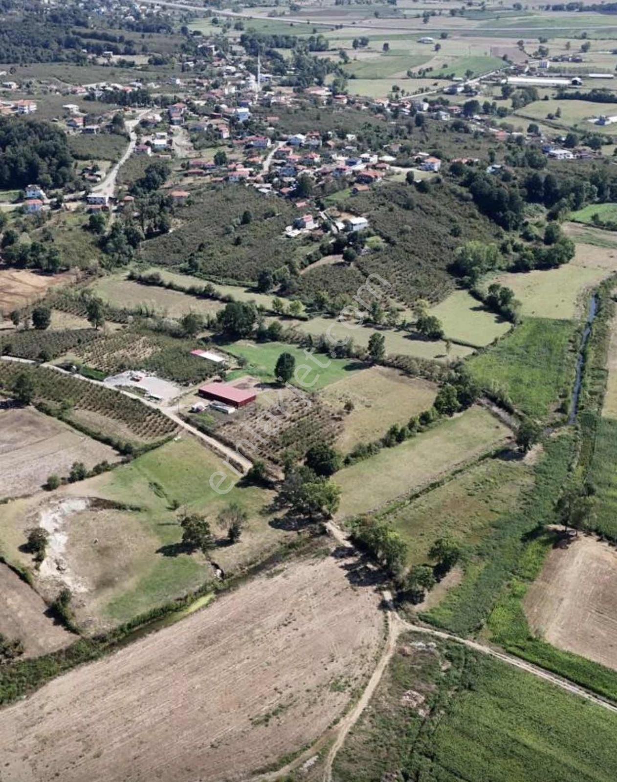 Trendarsa'dan Kaynarca'da Fırsat Arsalar - Görsel 15