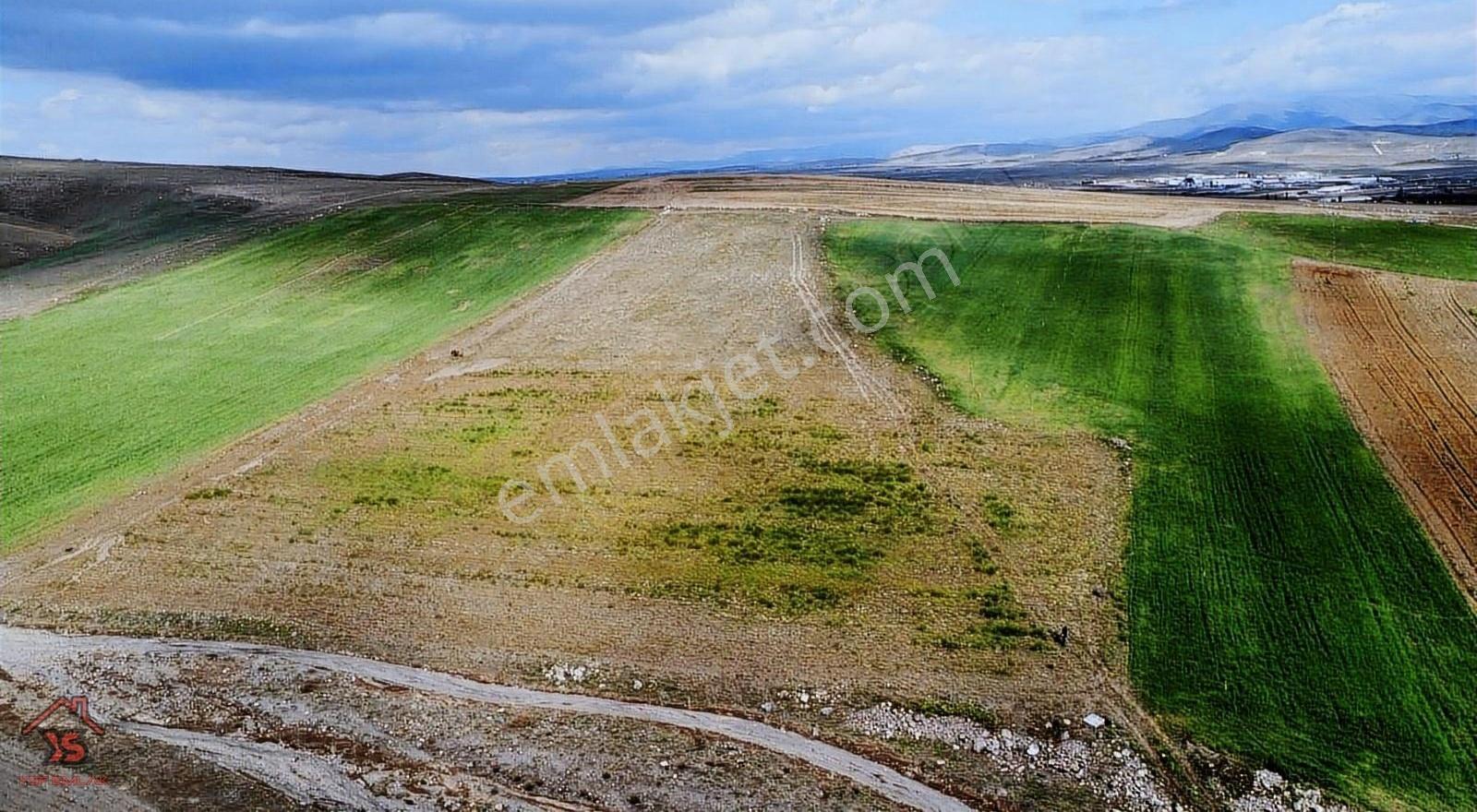 Ysf Emlak'tan Niğde Güllüce Mevki Satılık 21650 M2 Tarla - Görsel 5