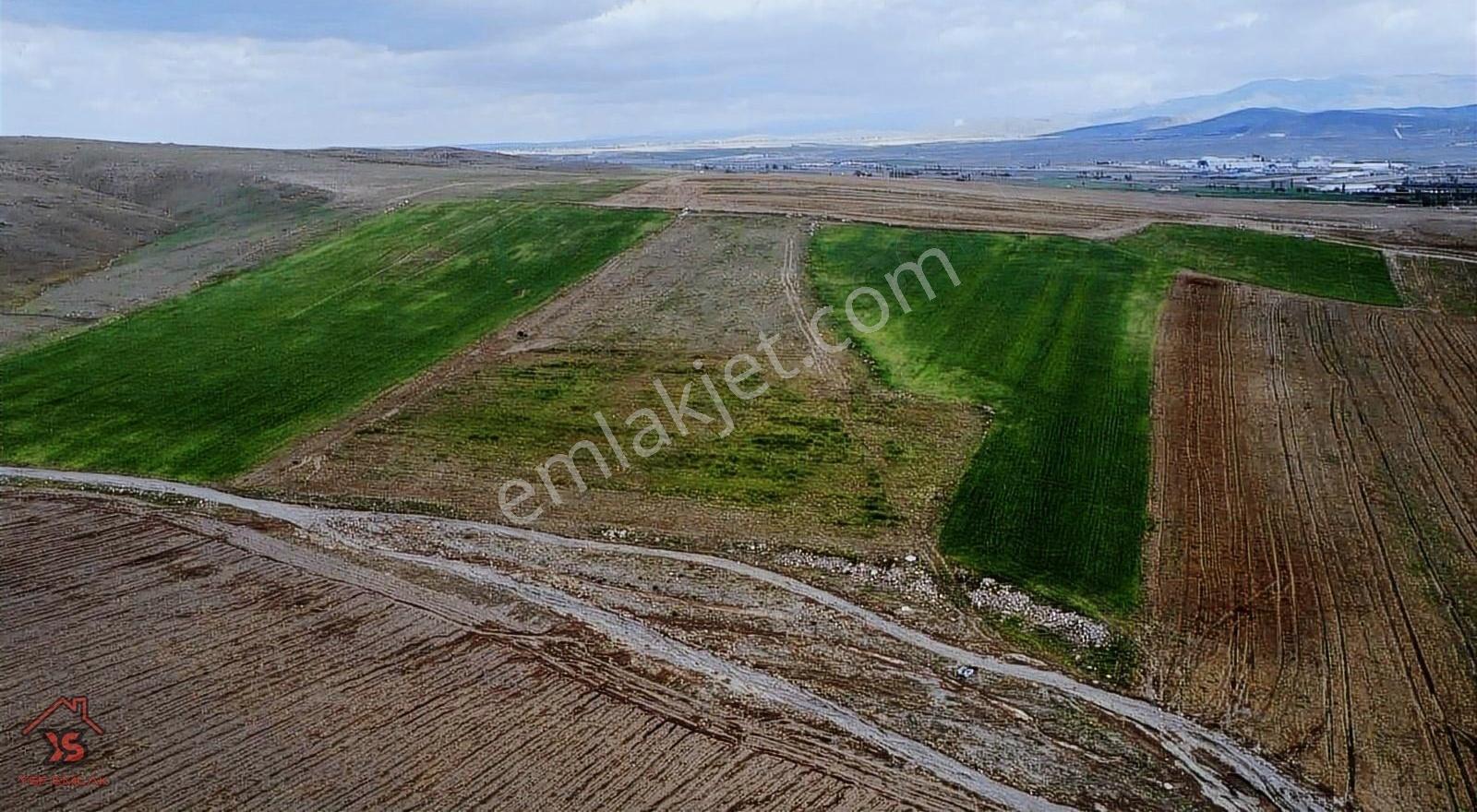 Ysf Emlak'tan Niğde Güllüce Mevki Satılık 21650 M2 Tarla - Görsel 16