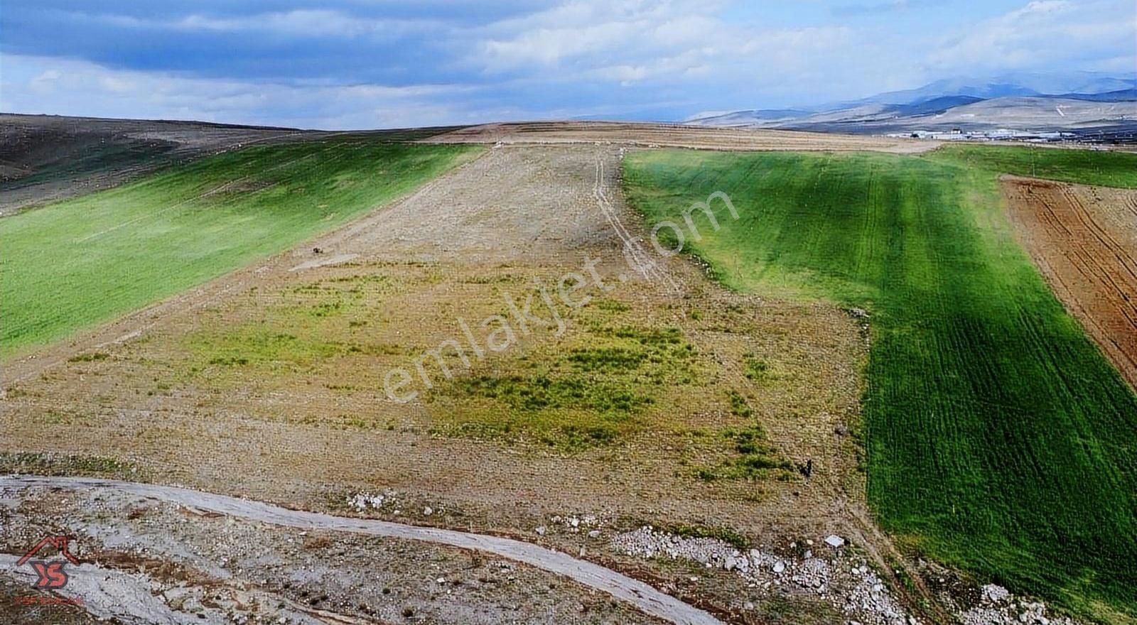 Ysf Emlak'tan Niğde Güllüce Mevki Satılık 21650 M2 Tarla - Görsel 11