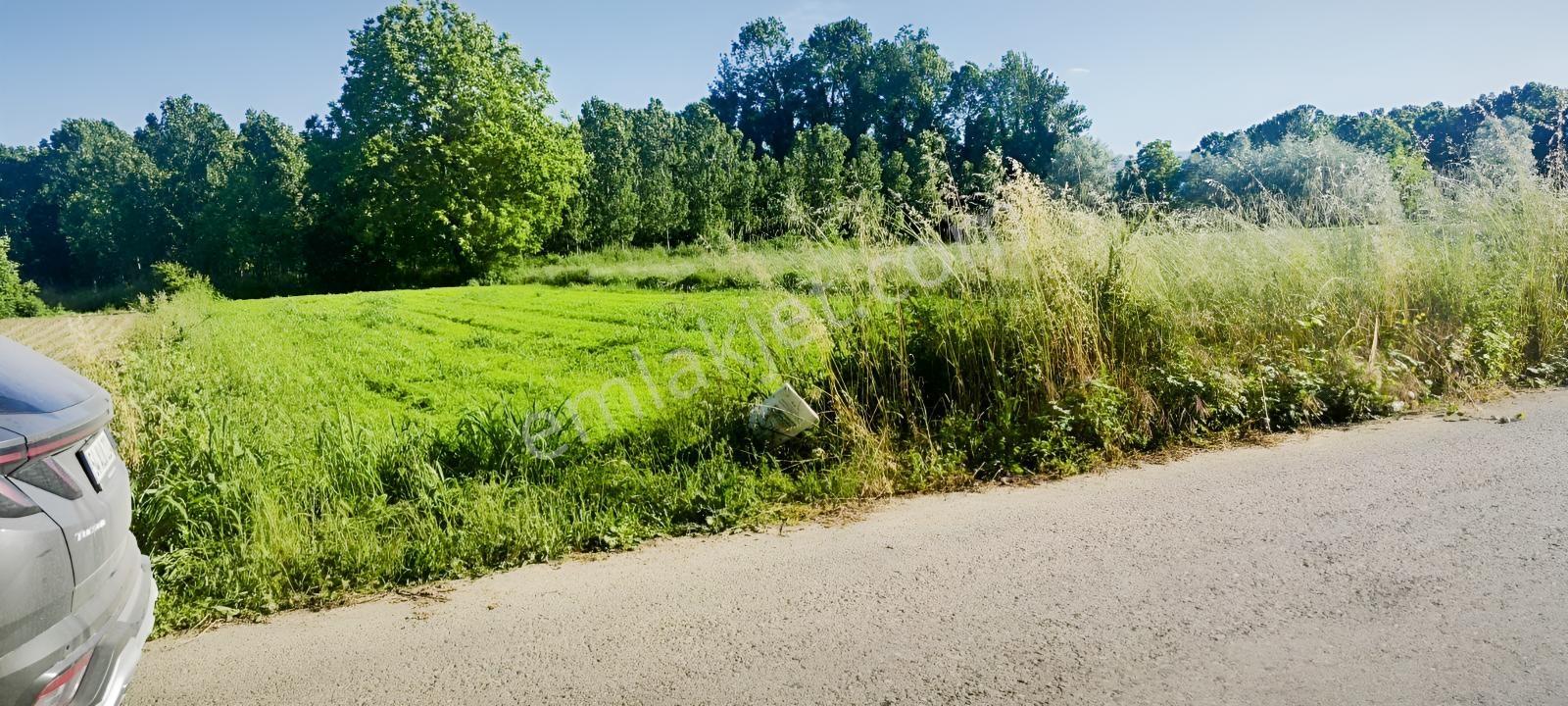 Asvalt Kenarı Yol Su Elektrik Var - Görsel 4