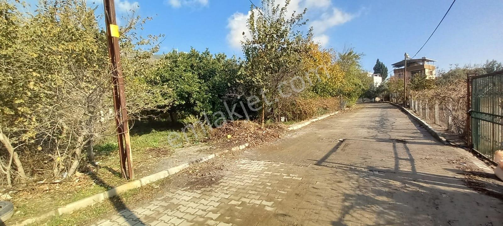 Söke Güllübahçe Mah.de Yola Sıfır 155 M² Hobi Bahçesi