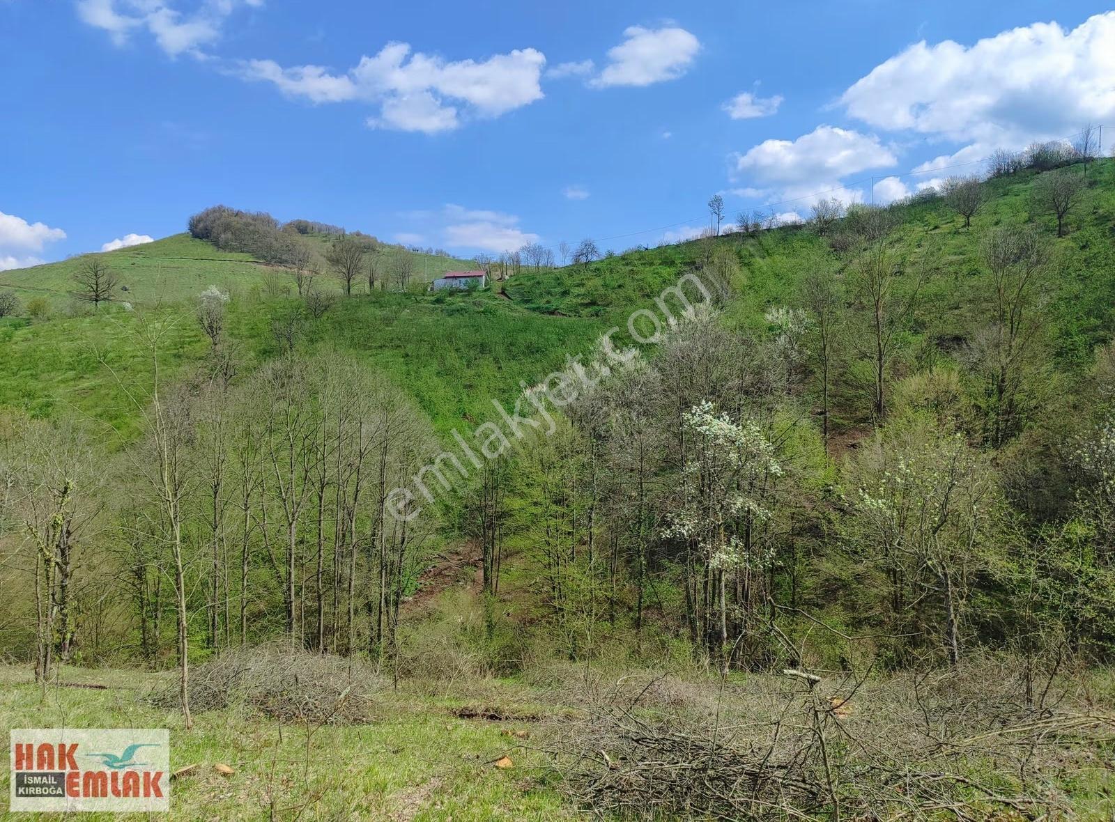 Hak Emlak'tan Gümüşova Yongalık'ta Satılık 19.483m² Arazi - Görsel 25