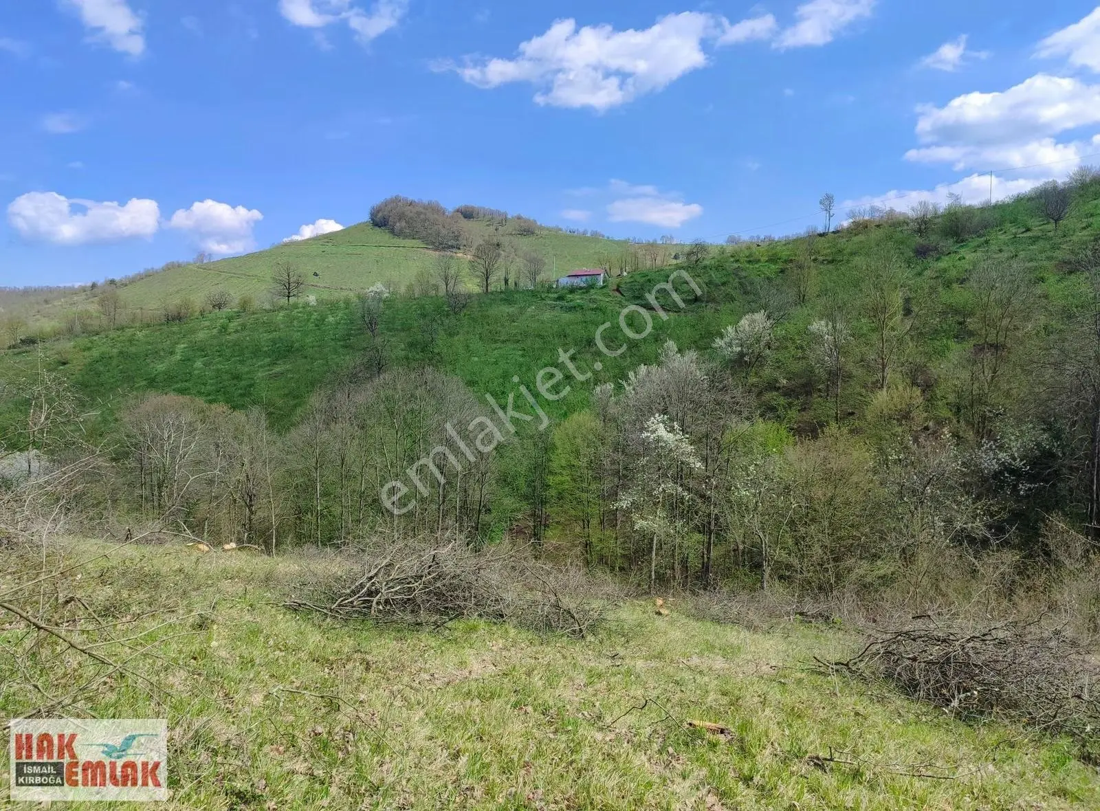 Hak Emlak'tan Gümüşova Yongalık'ta Satılık 19.483m² Arazi