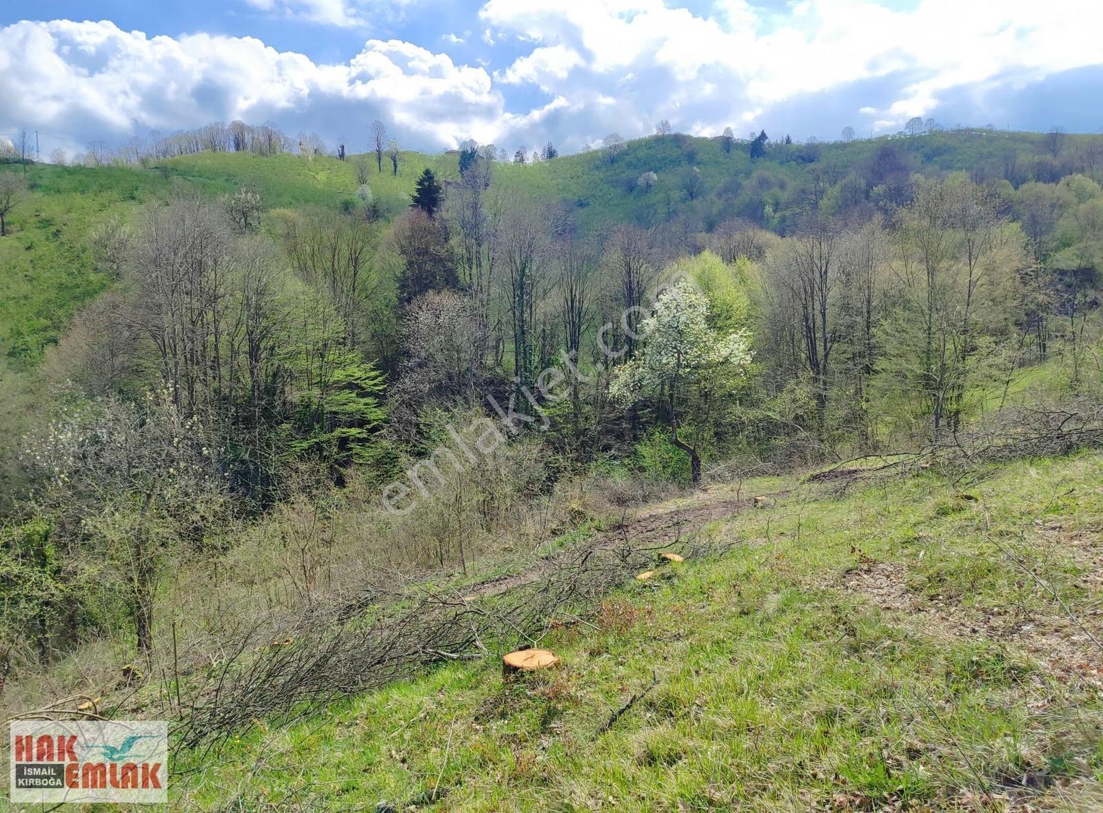 Hak Emlak'tan Gümüşova Yongalık'ta Satılık 19.483m² Arazi - Görsel 10