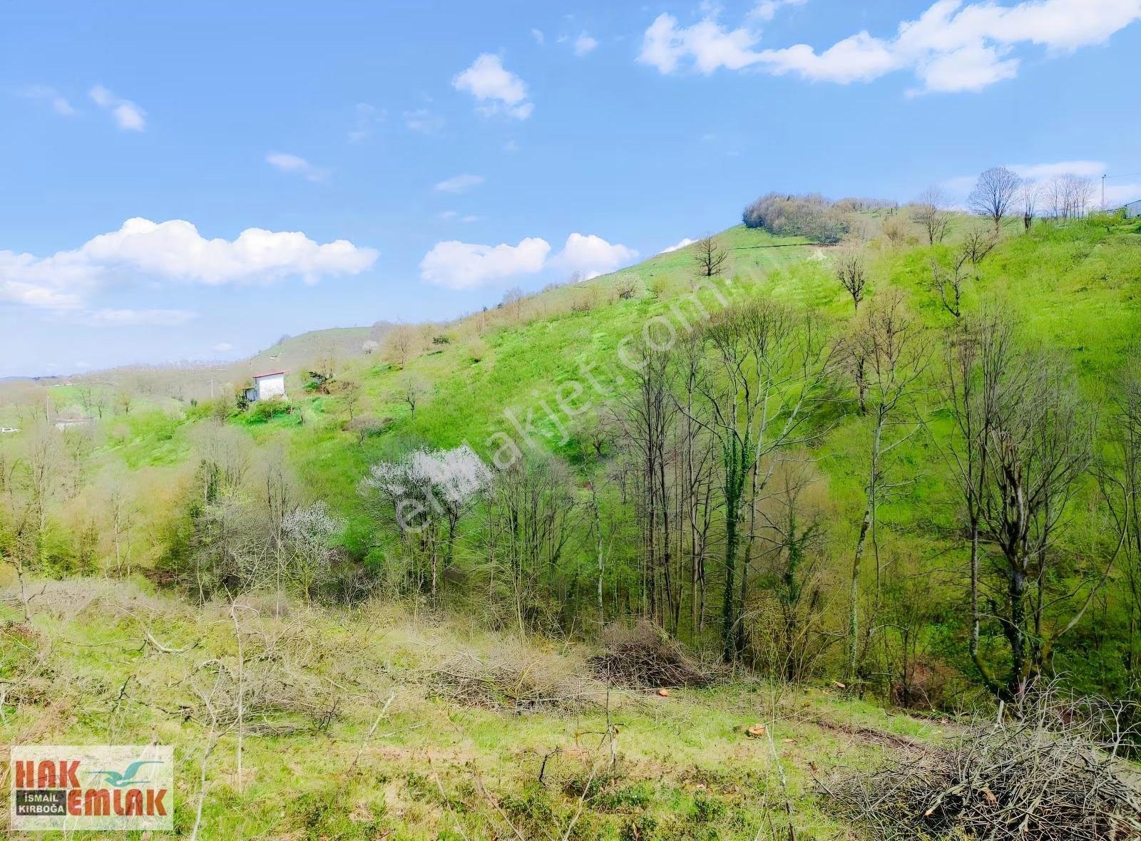 Hak Emlak'tan Gümüşova Yongalık'ta Satılık 19.483m² Arazi - Görsel 13