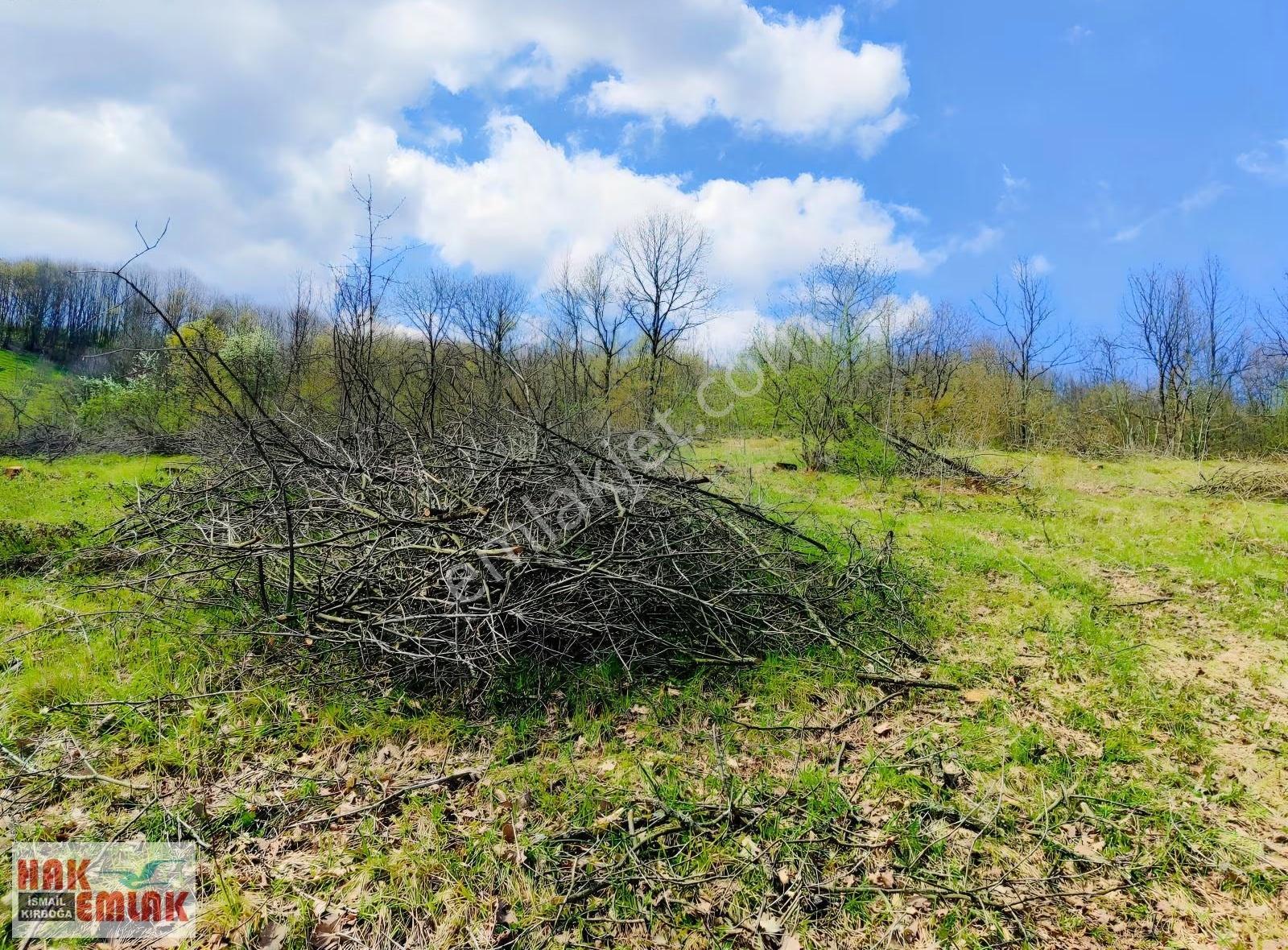 Hak Emlak'tan Gümüşova Yongalık'ta Satılık 19.483m² Arazi - Görsel 4