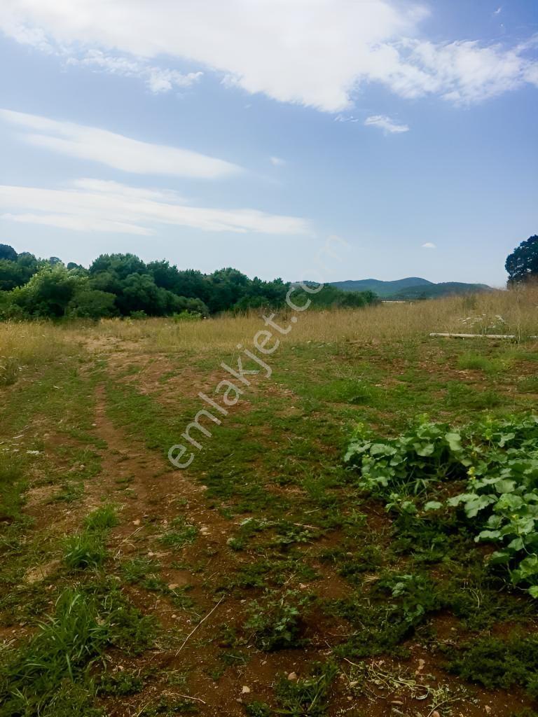 Çanakkale Biga Gürgendere Kadastrol Yollu 7600 M2 Satılık Tarla - Görsel 14