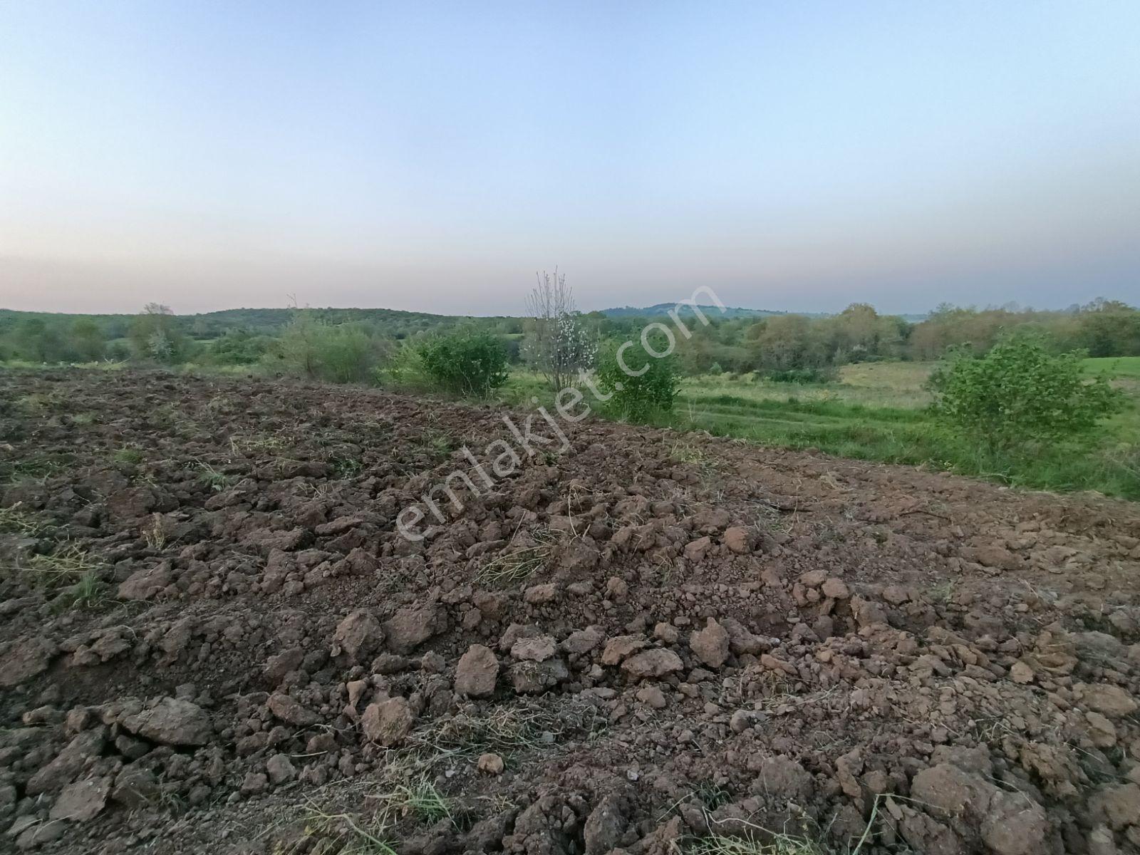 Çanakkale Biga Gürgendere Kadastrol Yollu 7600 M2 Satılık Tarla - Görsel 9