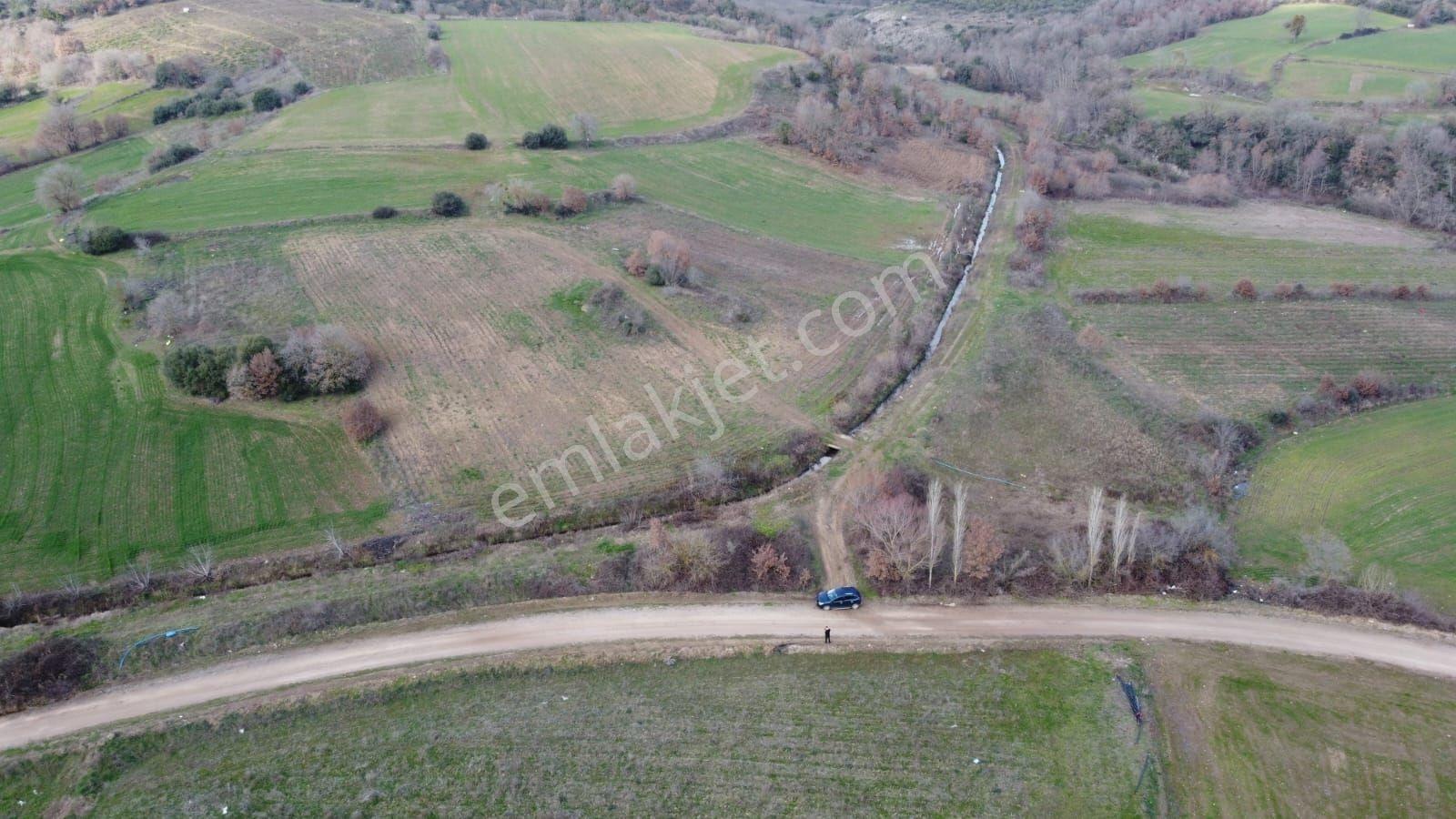 Çanakkale Biga Gürgendere Kadastrol Yollu 7600 M2 Satılık Tarla - Görsel 2