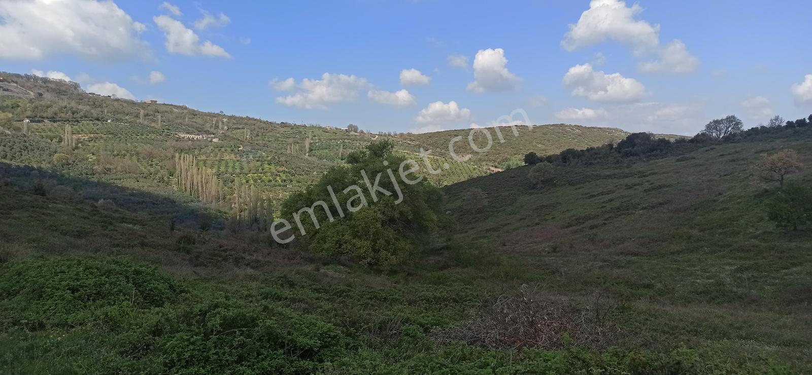 Orhangazi Çeltikçi Köyünde 1748m2 Yolu Olan Düz Arazi - Görsel 7