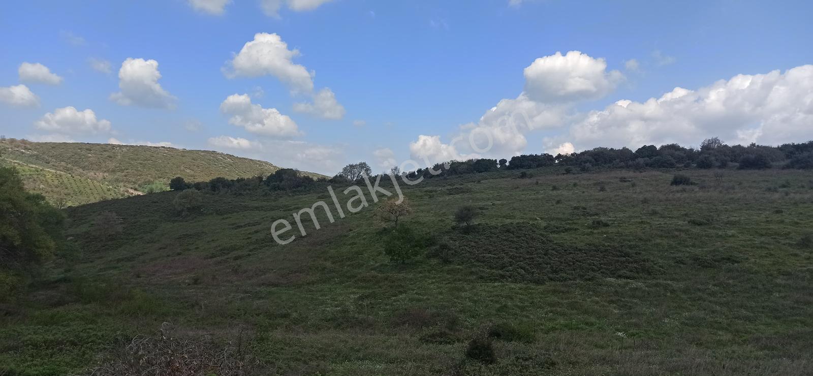 Orhangazi Çeltikçi Köyünde 1748m2 Yolu Olan Düz Arazi - Görsel 9