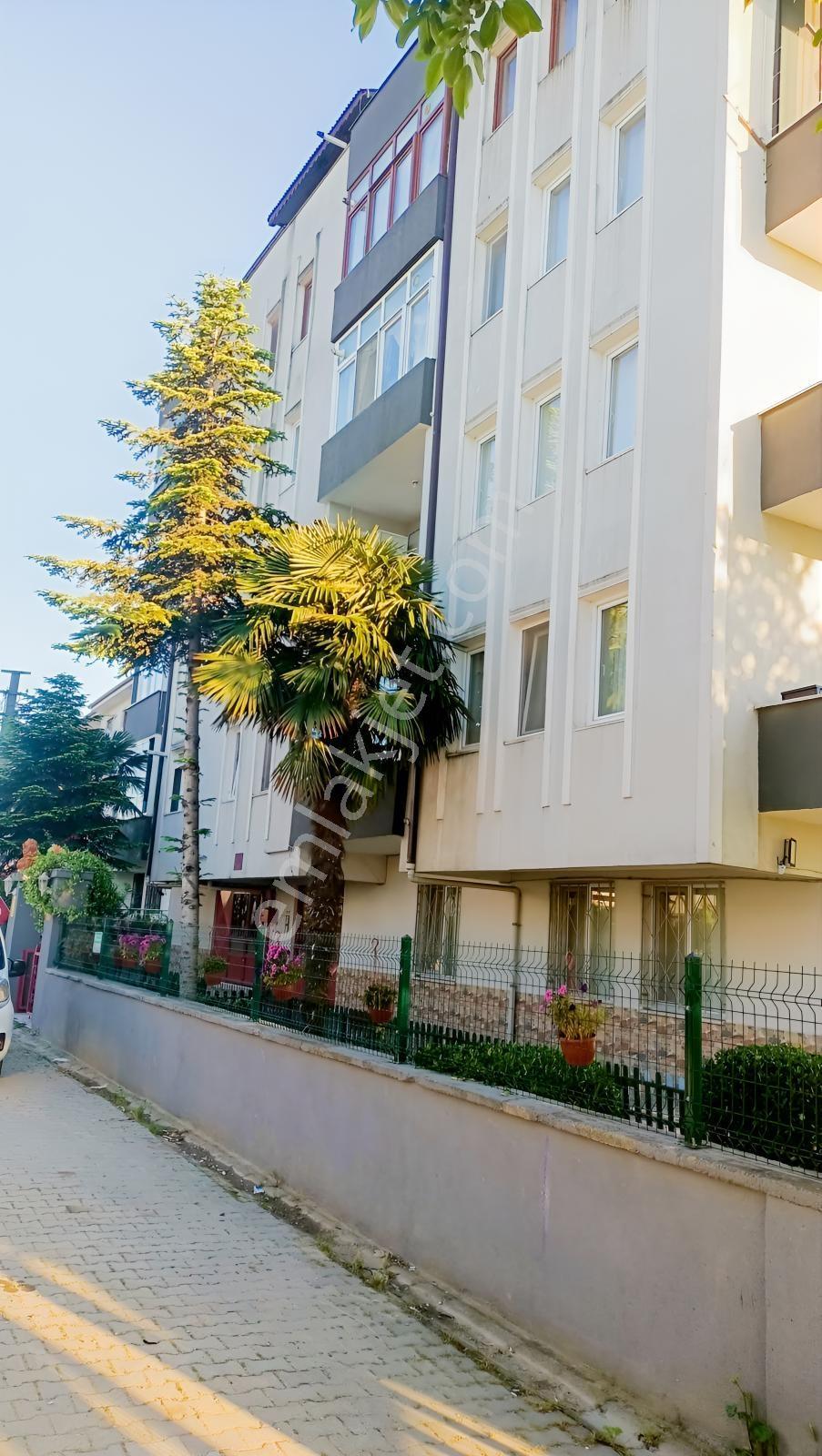 Arifbey Mahallesi Karanfil Sokakta Kiralık 2+1 Geniş Daire - Görsel 11