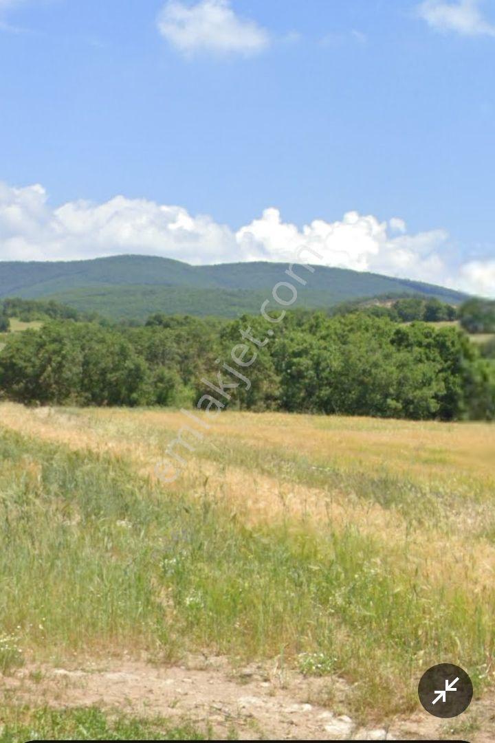 Sahibinden Satılık 1565, 54m² Müstakil Tapulu Arazi - Görsel 4