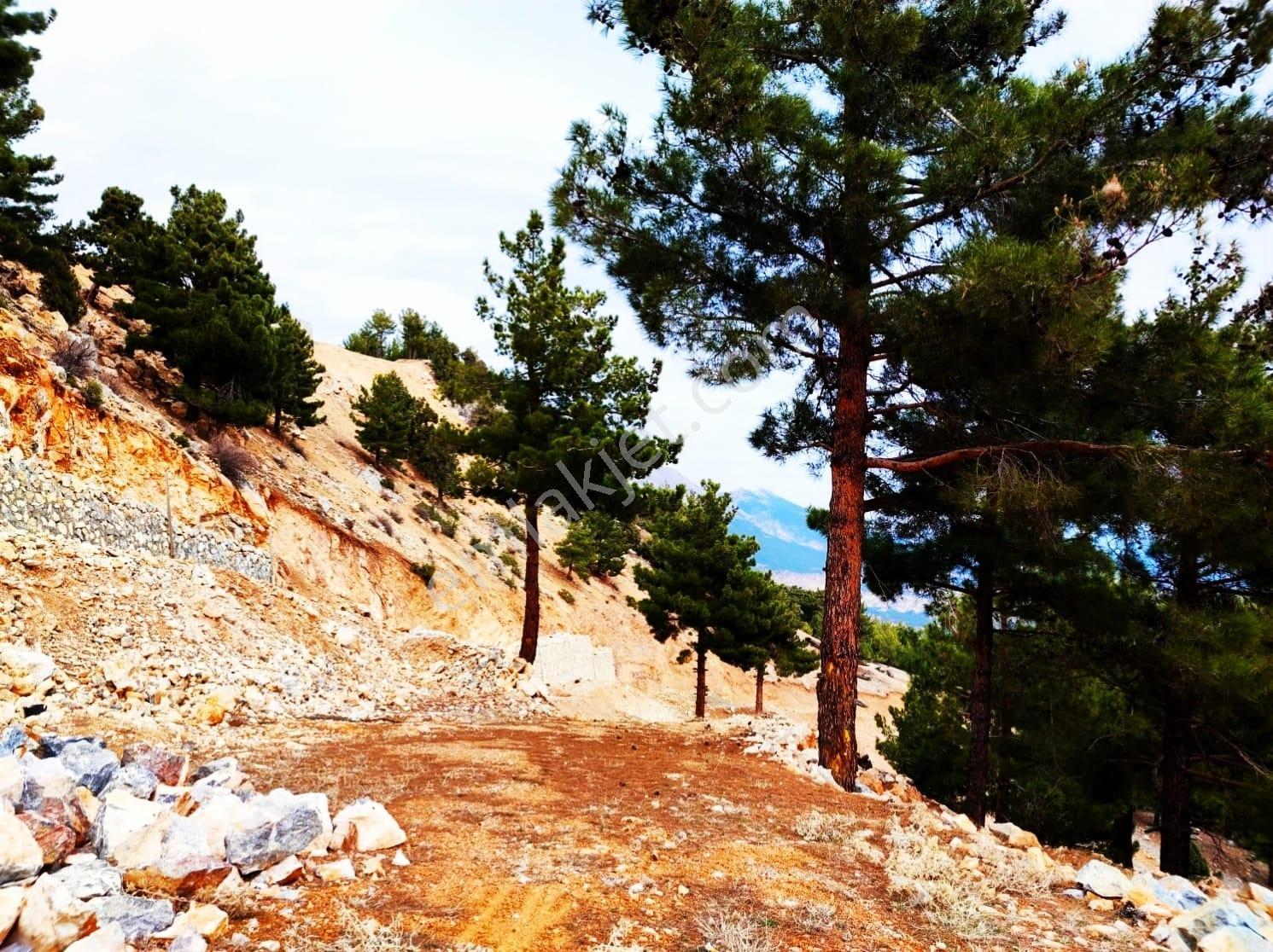 Kar Emlaktan Yenikonacık Kırıntıda 450m2 Satılık Arsa - Görsel 17