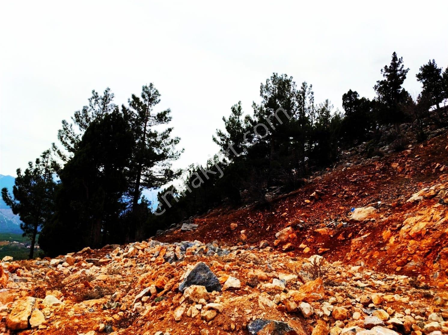 Kar Emlaktan Yenikonacık Kırıntıda 450m2 Satılık Arsa - Görsel 19