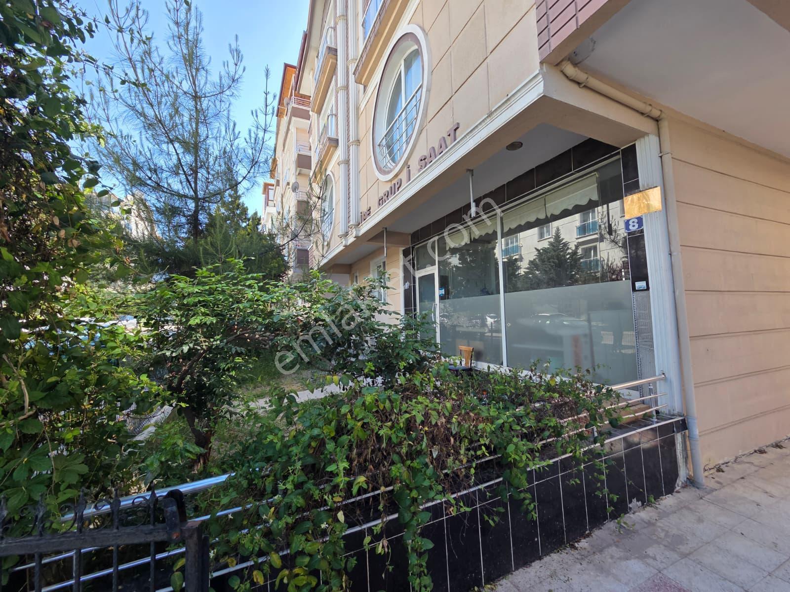 Etimesgut Halk Ekmek Fabrikası Ve Park Yakını Arakat 3+1 Kiralık - Görsel 6