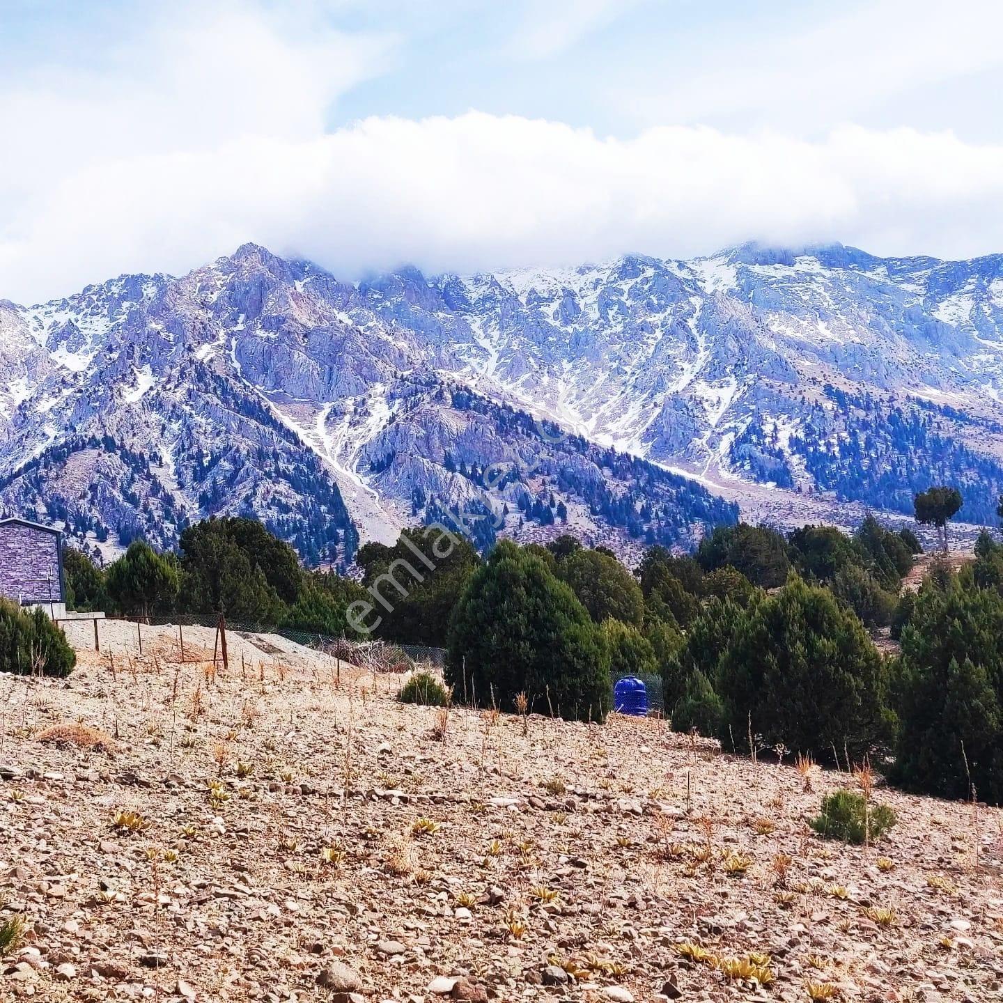 Kar Emlaktan Aşçıbekirli Fenesede İmara Uygun 5000m2 Satılık Ars - Görsel 5
