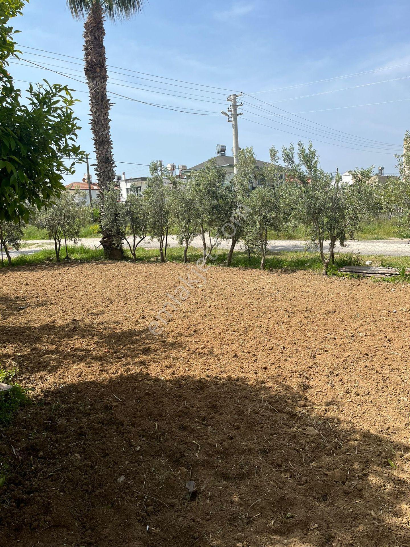 Günlük Kiralık Denize Sıfır Villa Taşucu/kummahallesi - Görsel 21