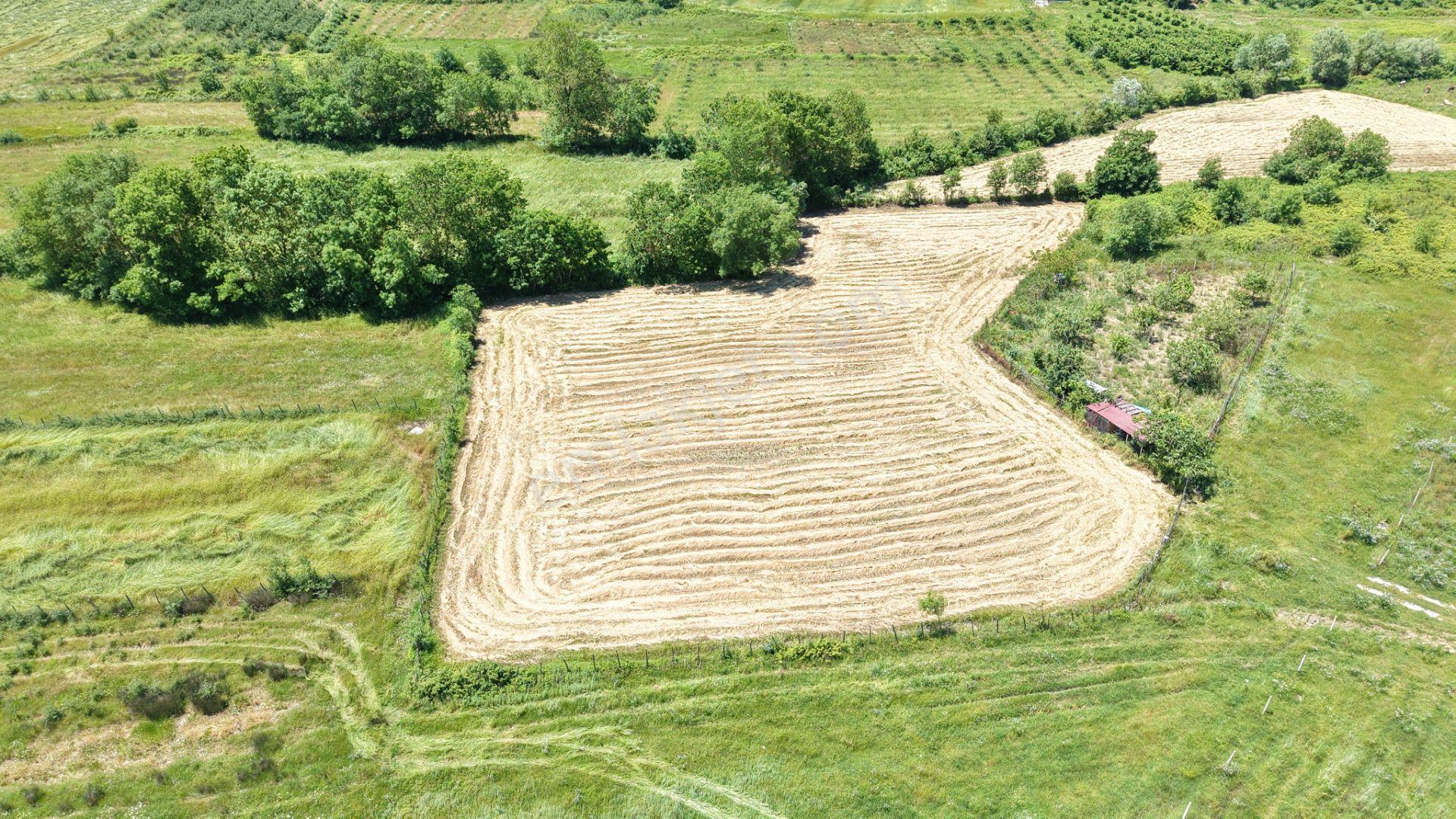 Bollu'da Seyrek Plajına Yakın 3389 M2 Gelişen Bölgede Tarla - Görsel 5