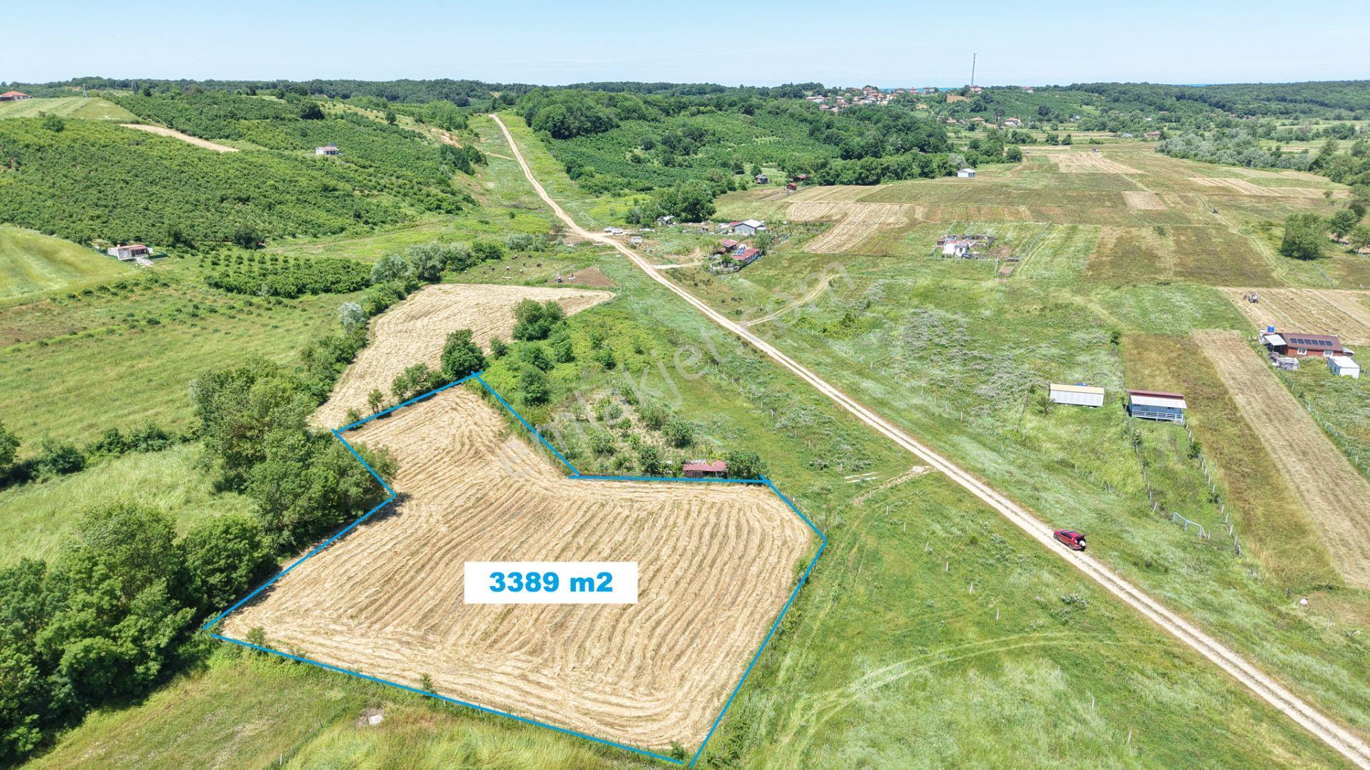 Bollu'da Seyrek Plajına Yakın 3389 M2 Gelişen Bölgede Tarla