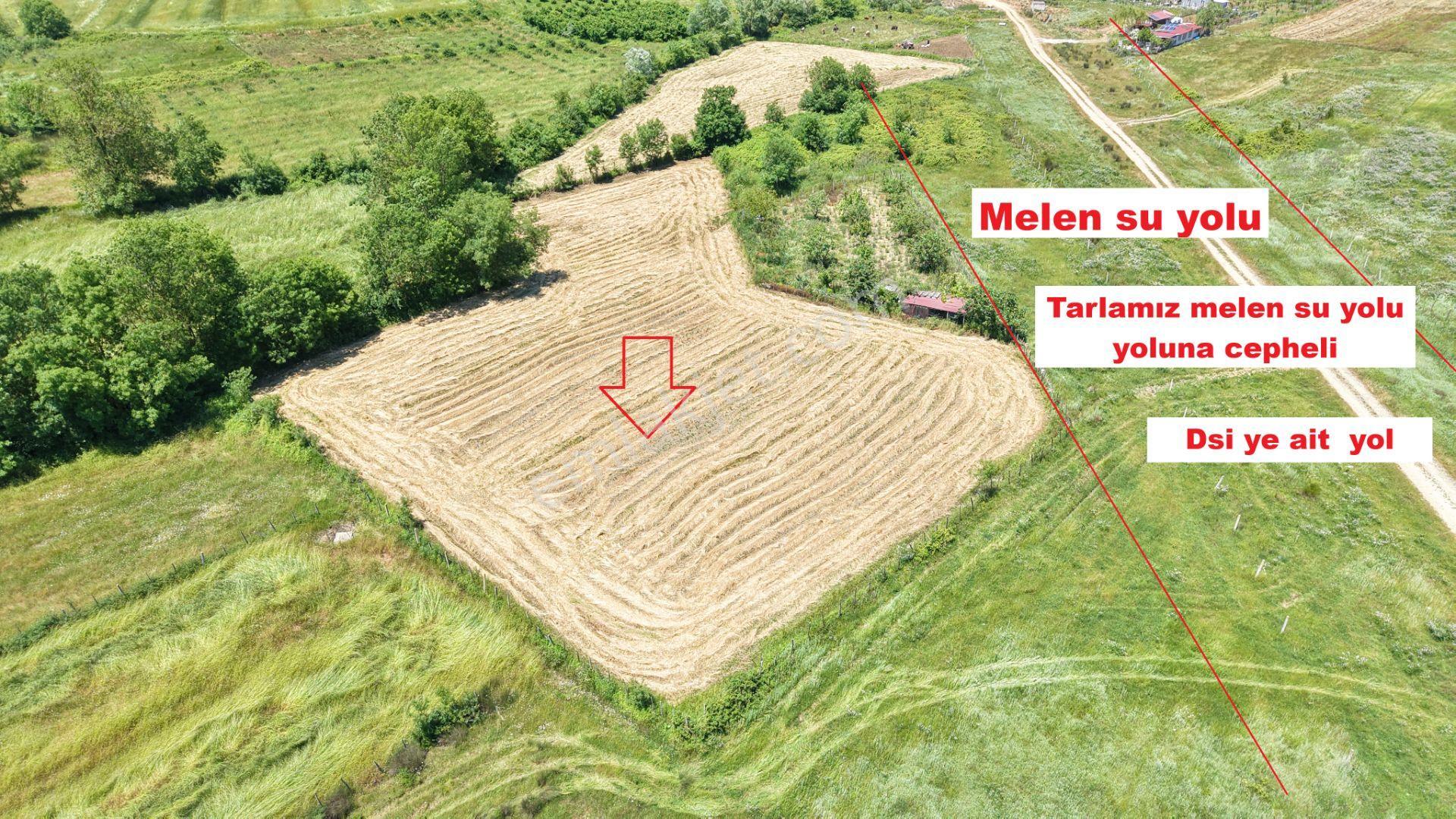 Bollu'da Seyrek Plajına Yakın 3389 M2 Gelişen Bölgede Tarla - Görsel 4