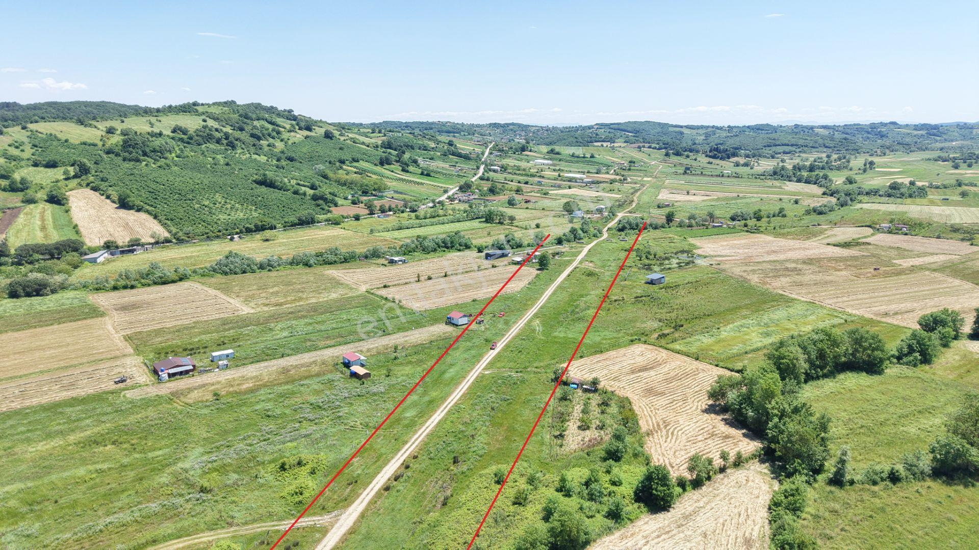 Bollu'da Seyrek Plajına Yakın 3389 M2 Gelişen Bölgede Tarla - Görsel 10
