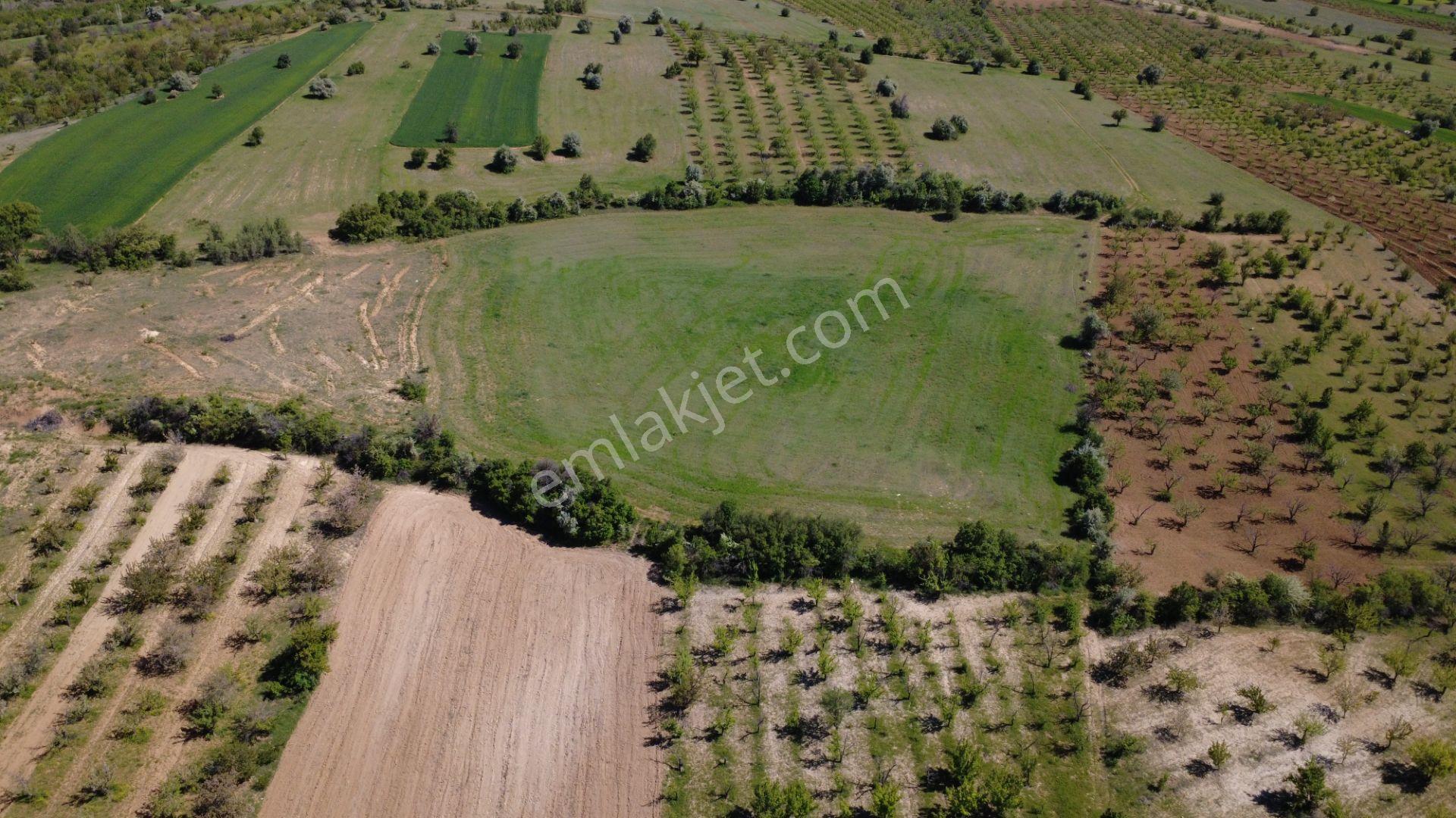 Ecr Gayrimenkul'den Bozkır Karacaardıç Mah. 22.000 M2 Satılık Tarla - Görsel 4