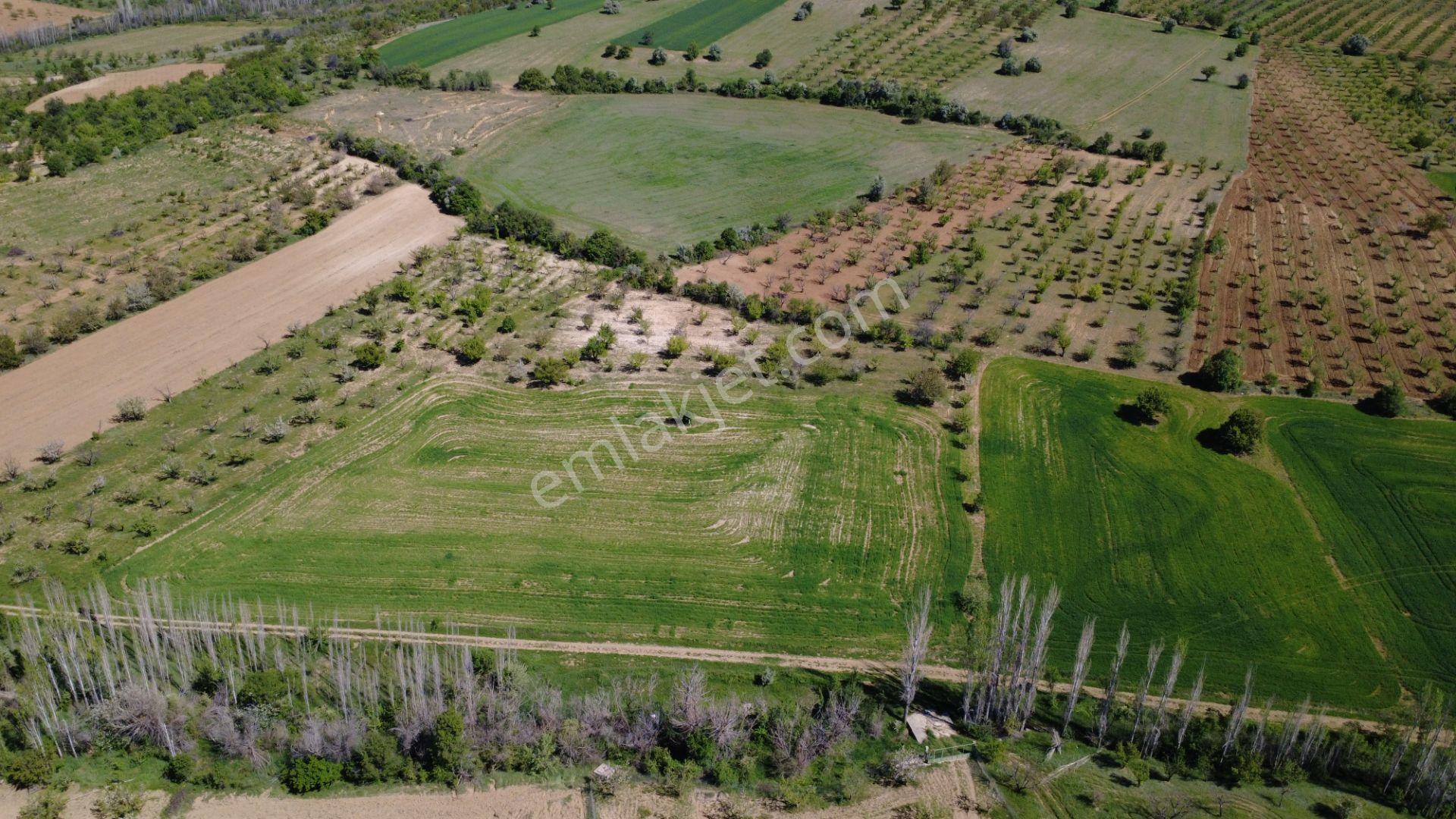 Ecr Gayrimenkul'den Bozkır Karacaardıç Mah. 22.000 M2 Satılık Tarla - Görsel 6