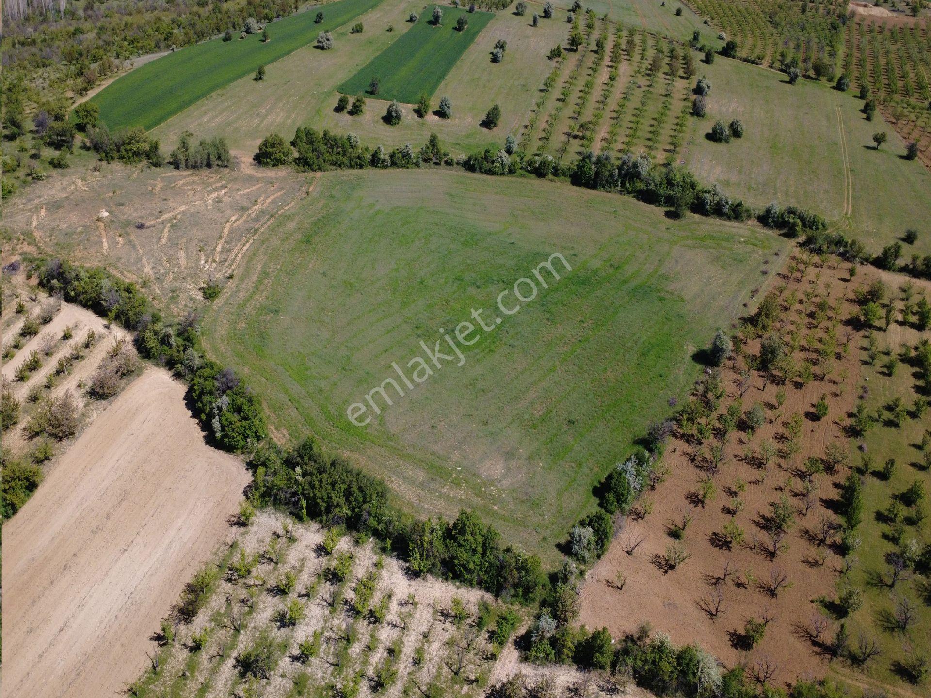 Ecr Gayrimenkul'den Bozkır Karacaardıç Mah. 22.000 M2 Satılık Tarla - Görsel 3