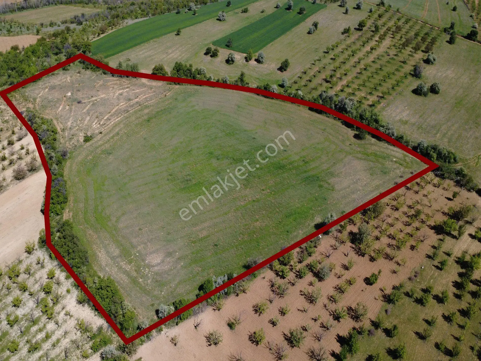 Ecr Gayrimenkul'den Bozkır Karacaardıç Mah. 22.000 M2 Satılık Tarla