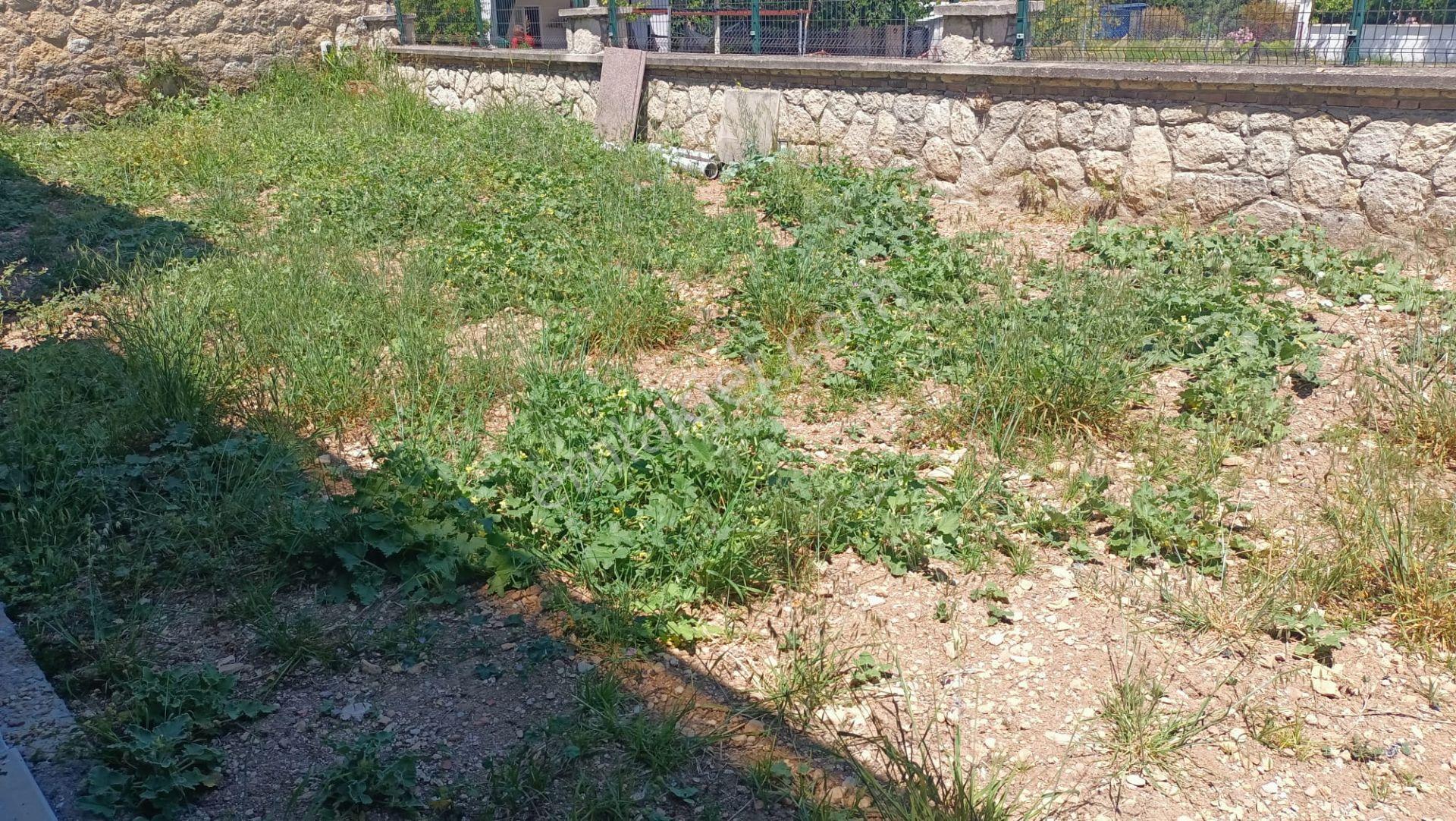 Çeşme Marina Yakını Sezonluk Kiralık Mobilyalı Villa - Görsel 6