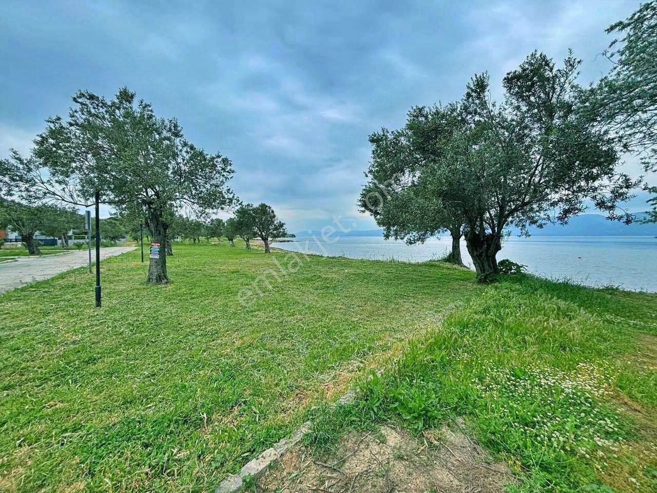 Uytundan Pelitköyde Denize 50 Metre Lüx Sitede Havuzlu 3+1 Villa - Görsel 23