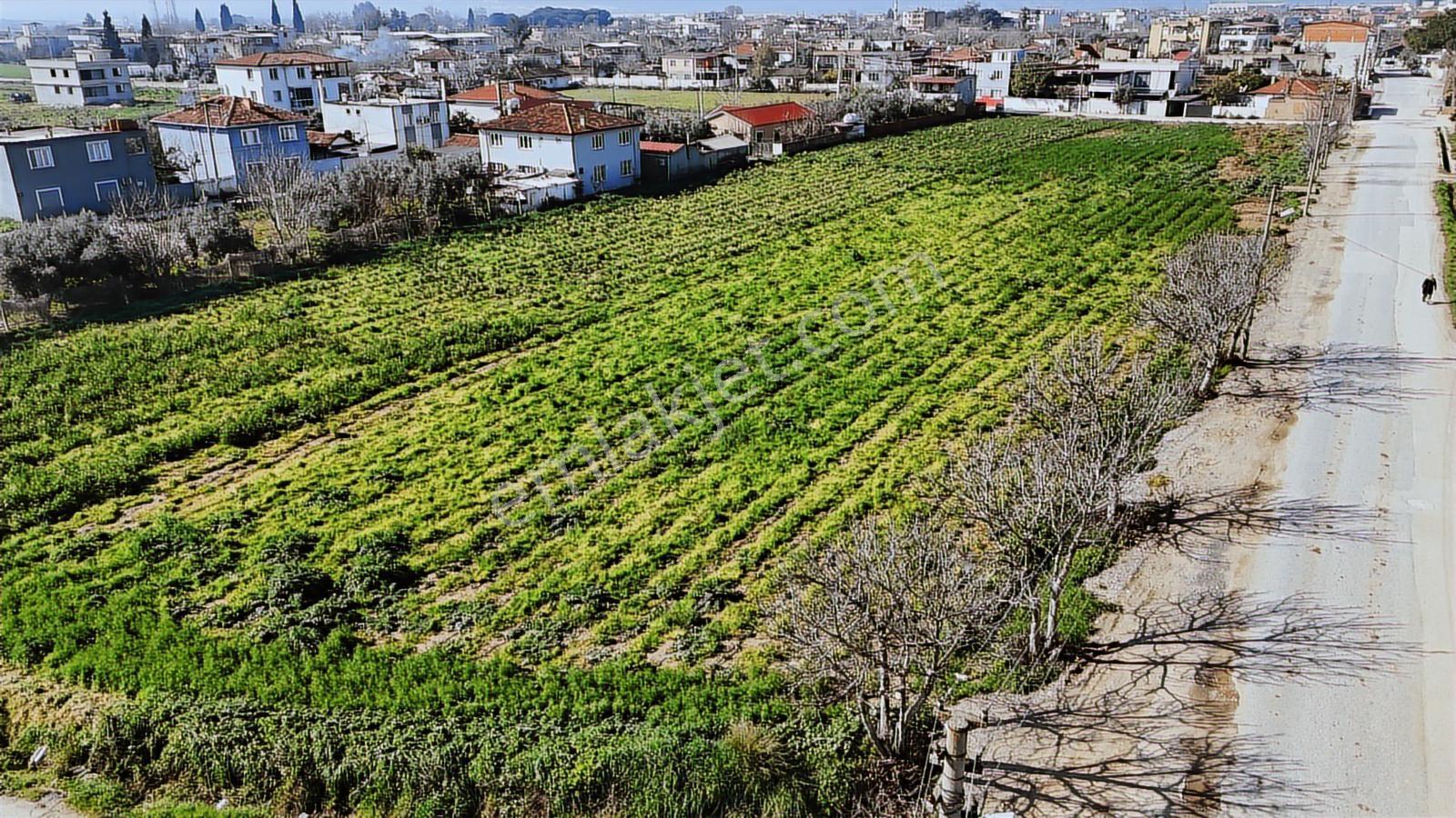 Torbalı Çaybaşında İmar Planlaması İçinde 2250 M2 Arazi