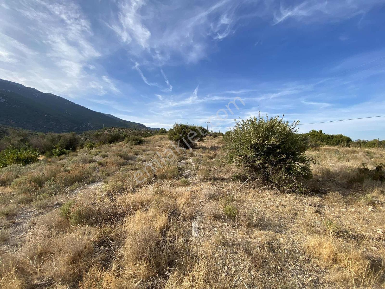 Karaburun Anbersekide Deniz Manzaralı 14.247 M2 Arazi - Görsel 16