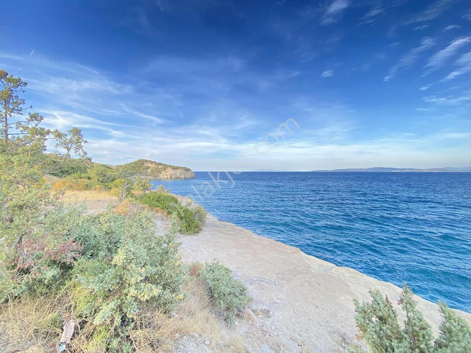 Karaburun Anbersekide Deniz Manzaralı 14.247 M2 Arazi - Görsel 9