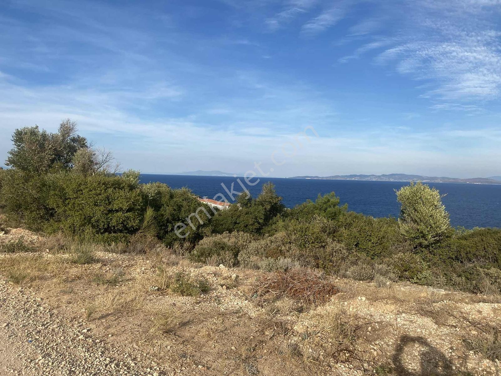 Karaburun Anbersekide Deniz Manzaralı 14.247 M2 Arazi - Görsel 20
