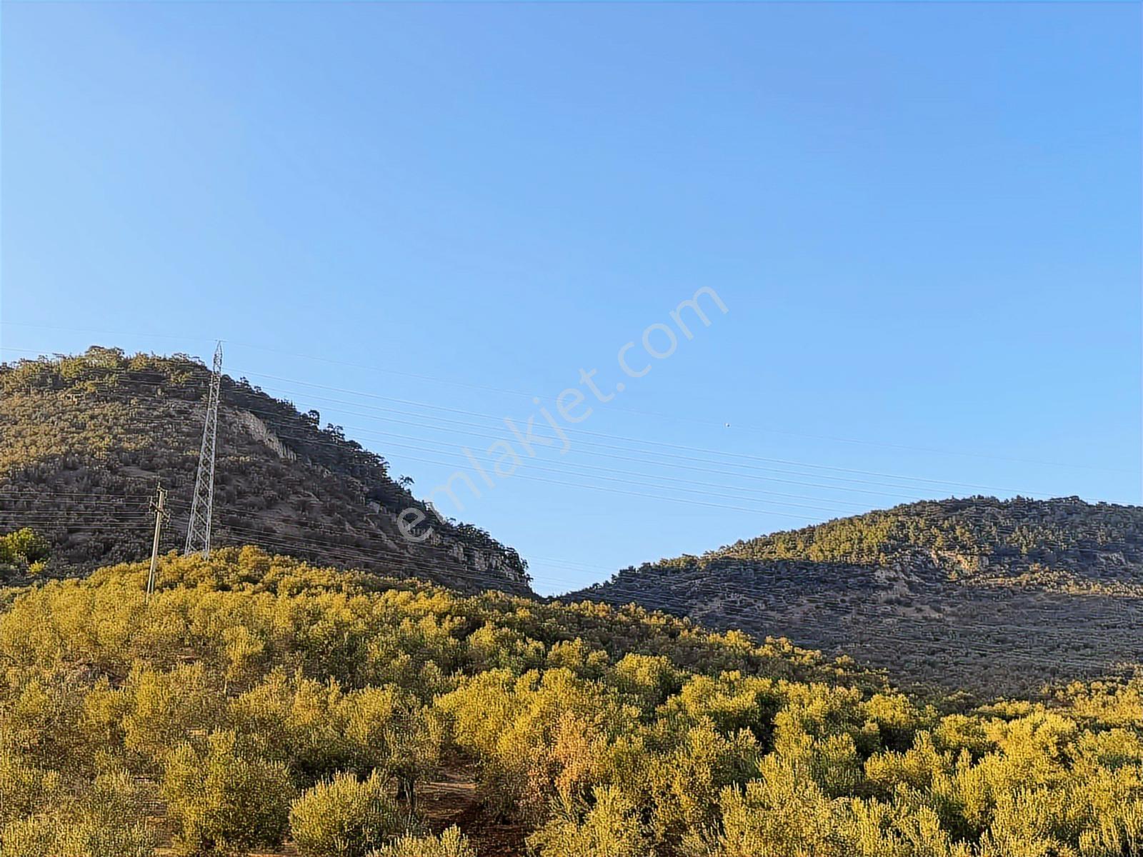 Avcı'dan Küçükkuyu'da Deniz Manzaralı 3+1 Denize 250 Mt Villa - Görsel 23