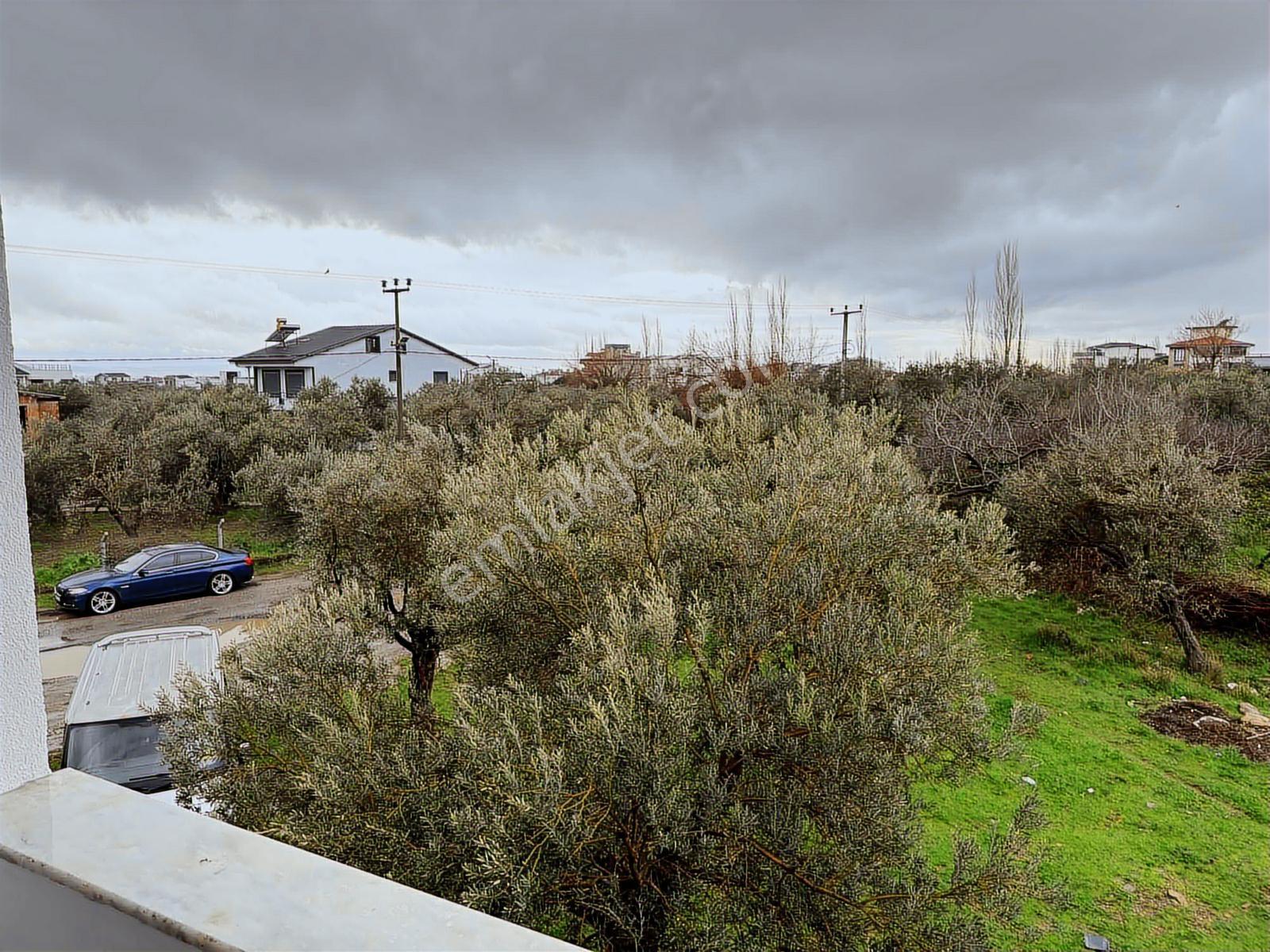 Avcı'dan Tek Yetkili Zeytinli'de 2+1 Sıfır Kısa Katlı Daire - Görsel 25