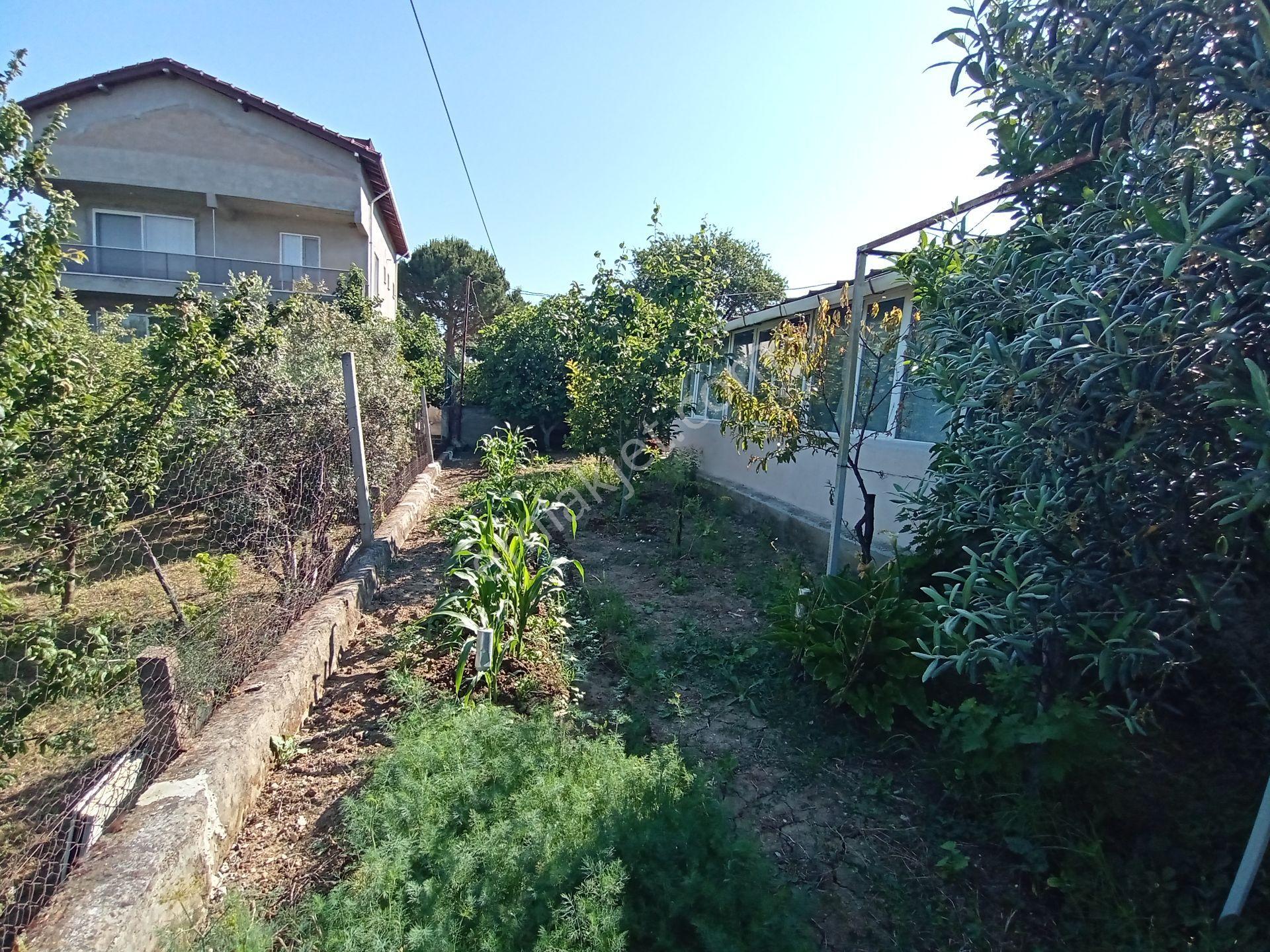 Çanakkale'de Boğaz Ve Köprü Manzaralı Müstakil Konut Ve Bahçesi - Görsel 33