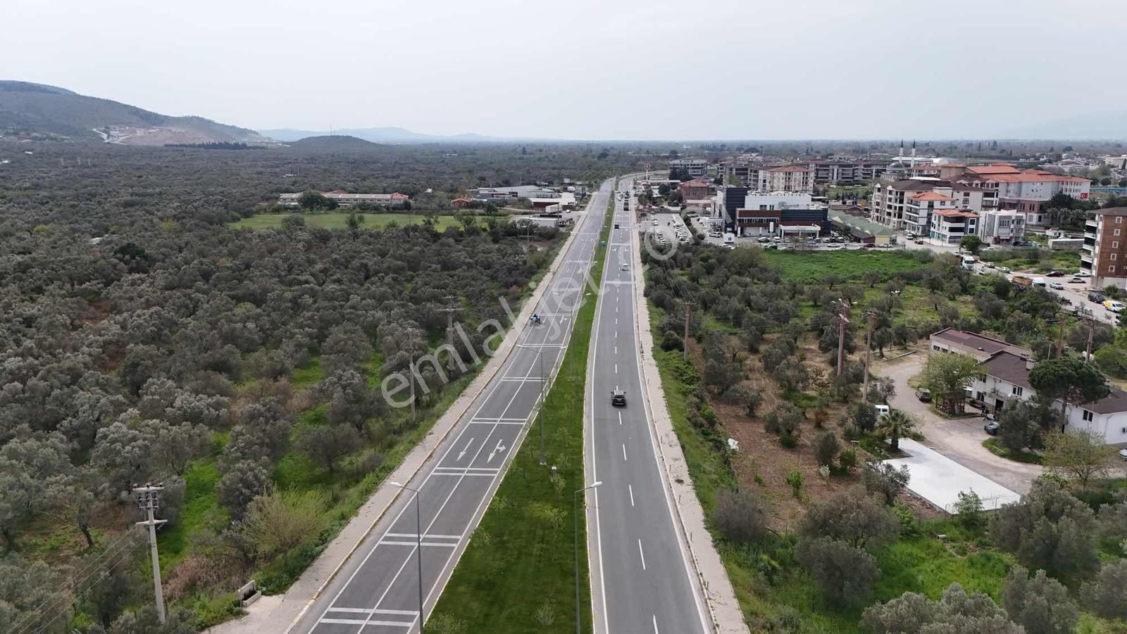 Avcı'dan Çanakkale-edremit Otobanına Cepheli 2,081m2 Zeytinlik - Görsel 8