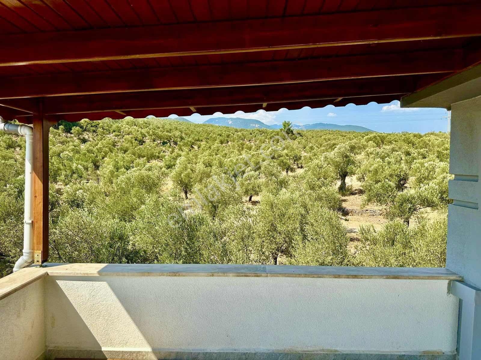 Avcı'dan 5+1 Müstakil Havuzlu Deniz Manz Denize 350 Mt Villa - Görsel 15