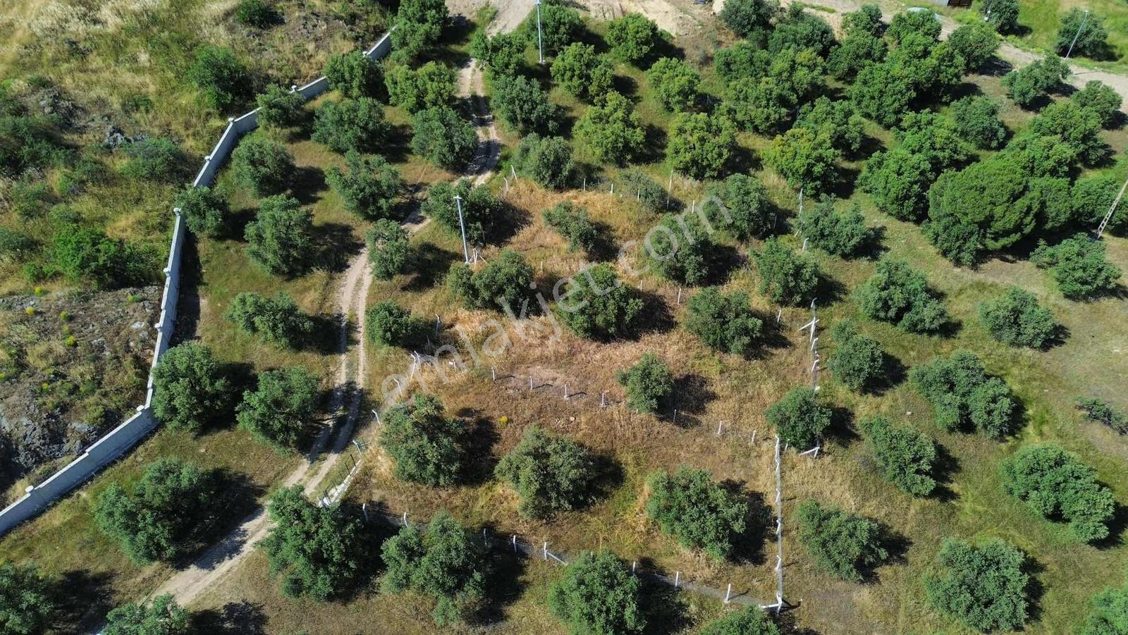 Avcı 2 Villalık 457m2 Deniz Manz Deniz 500 Mt Villa İmarlı Arsa - Görsel 6