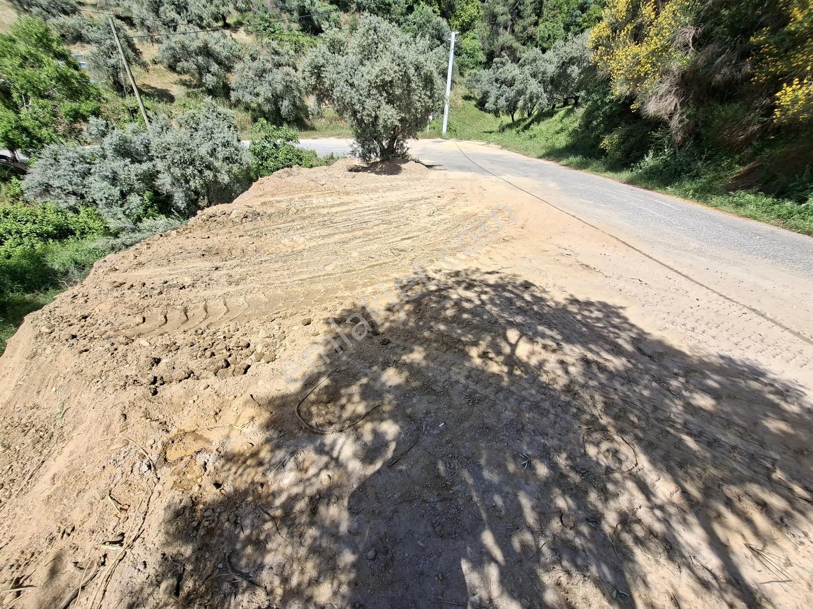Konteyner Yada Karavan İçin Muazzam Anayol Cepheli Arazi