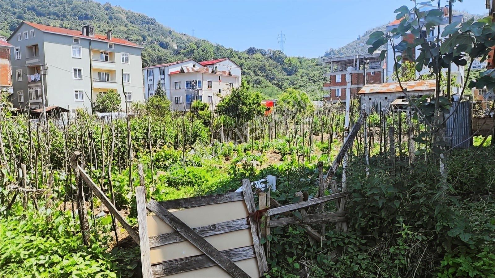 Delta Gayrimenkul'den Giresun Küçükköy Mah Satılık 200 M² Arsa.. - Görsel 2