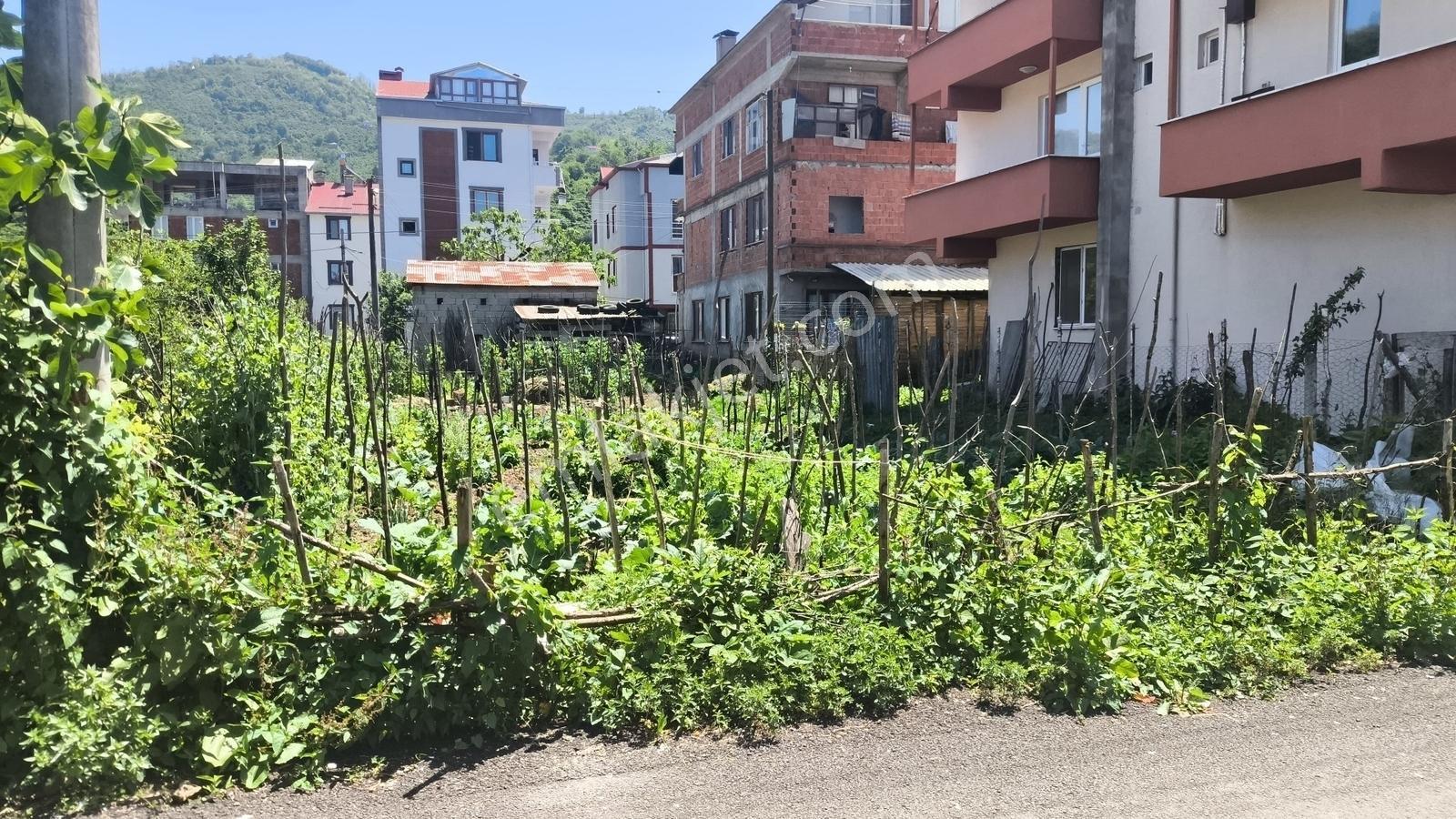 Delta Gayrimenkul'den Giresun Küçükköy Mah Satılık 200 M² Arsa.. - Görsel 7