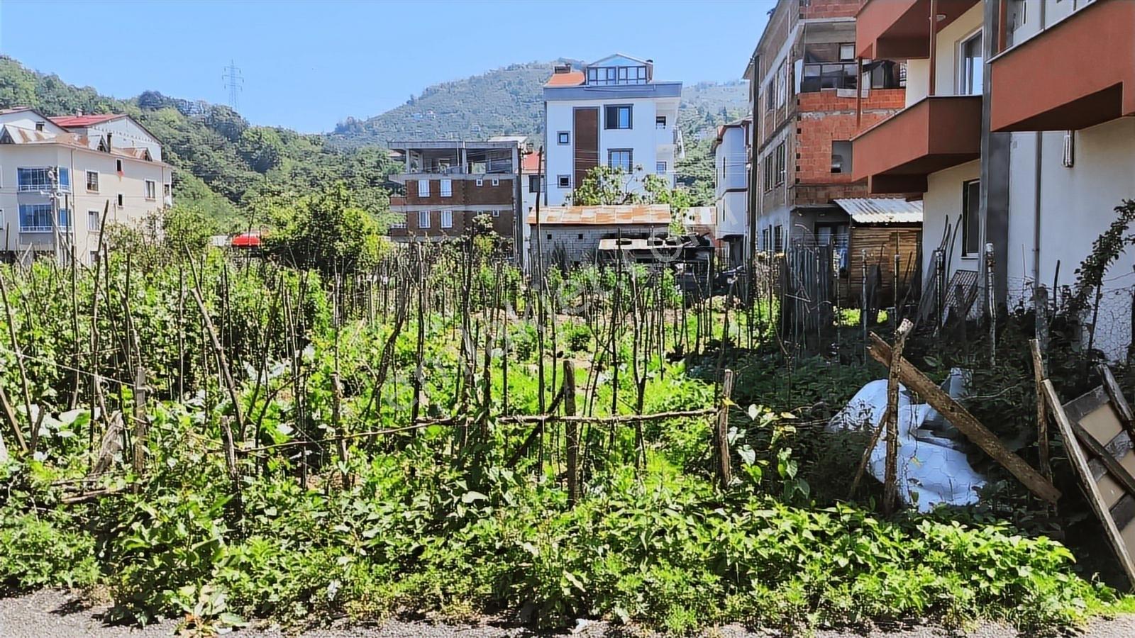 Delta Gayrimenkul'den Giresun Küçükköy Mah Satılık 200 M² Arsa..