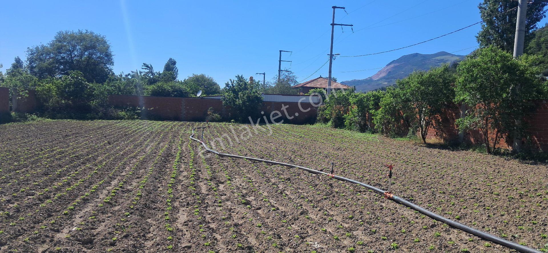 Sahibinden Satılık Yatırımlık 1342 M² Arsa - Görsel 5